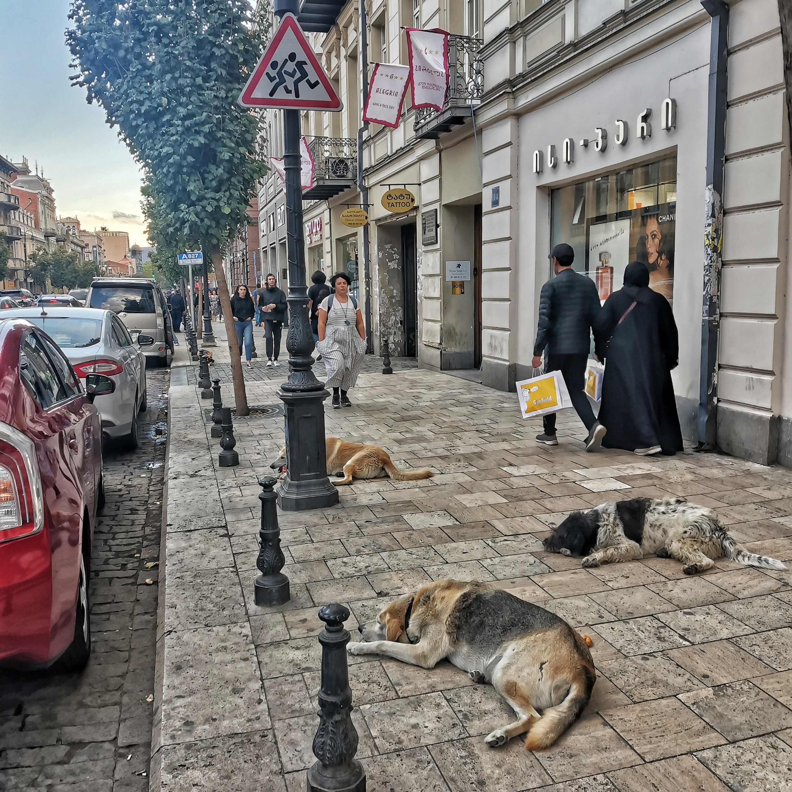 Грузия 2022. Фотограф и видеограф Анна Жагорина