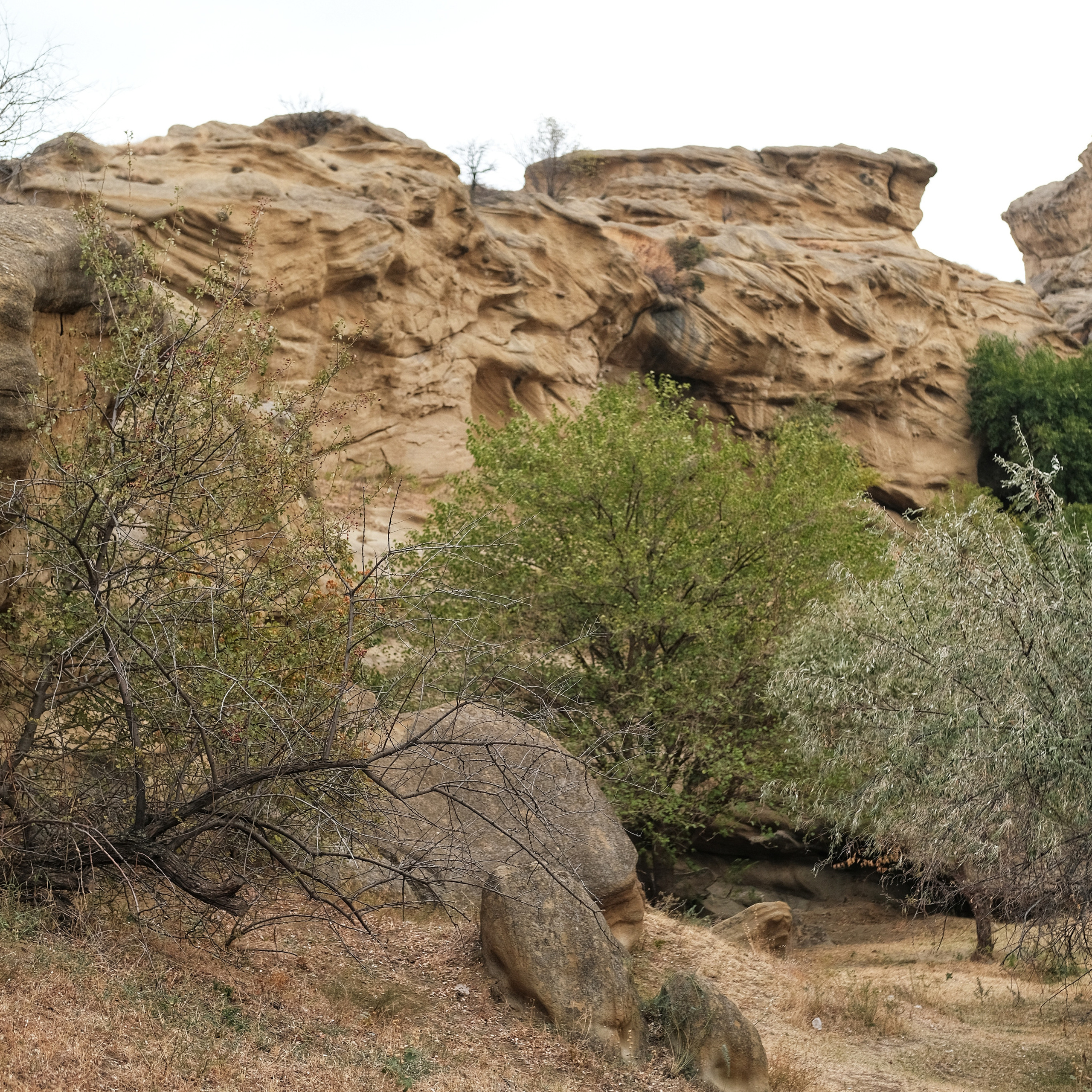 Грузия 2022. Фотограф и видеограф Анна Жагорина