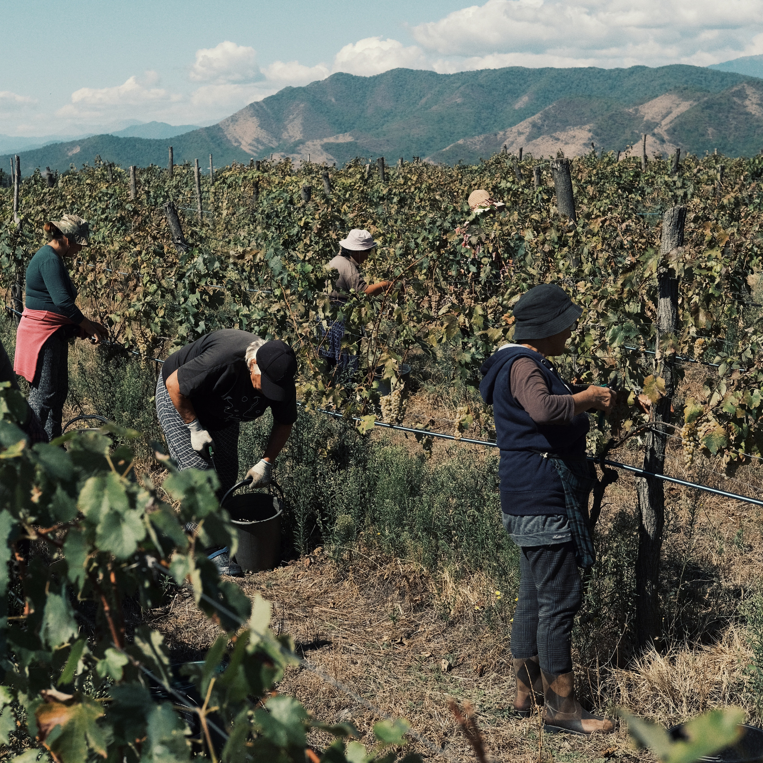 Грузия 2022. Фотограф и видеограф Анна Жагорина