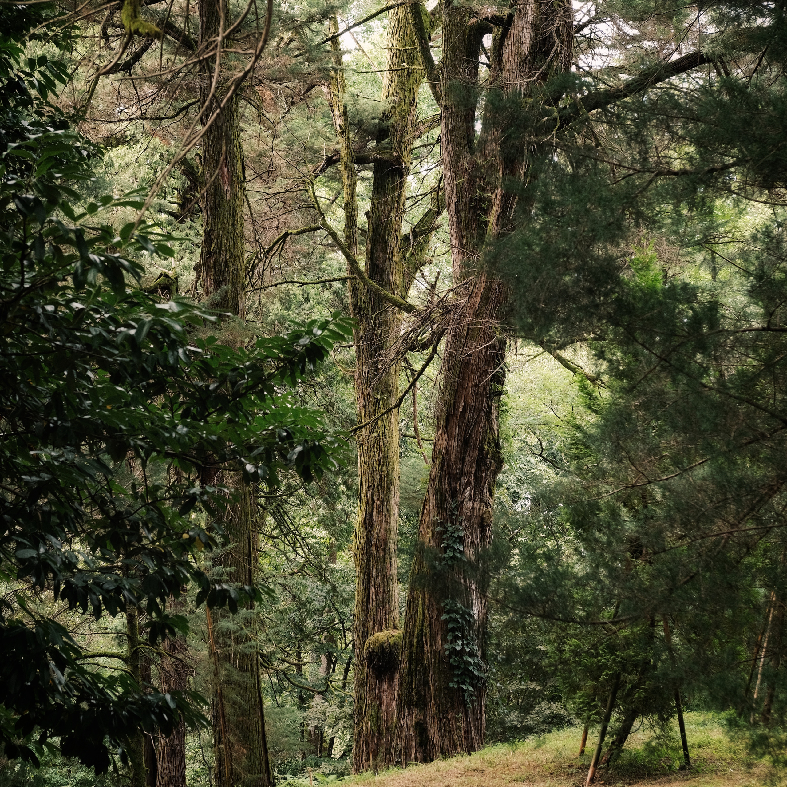 Грузия 2022. Фотограф и видеограф Анна Жагорина
