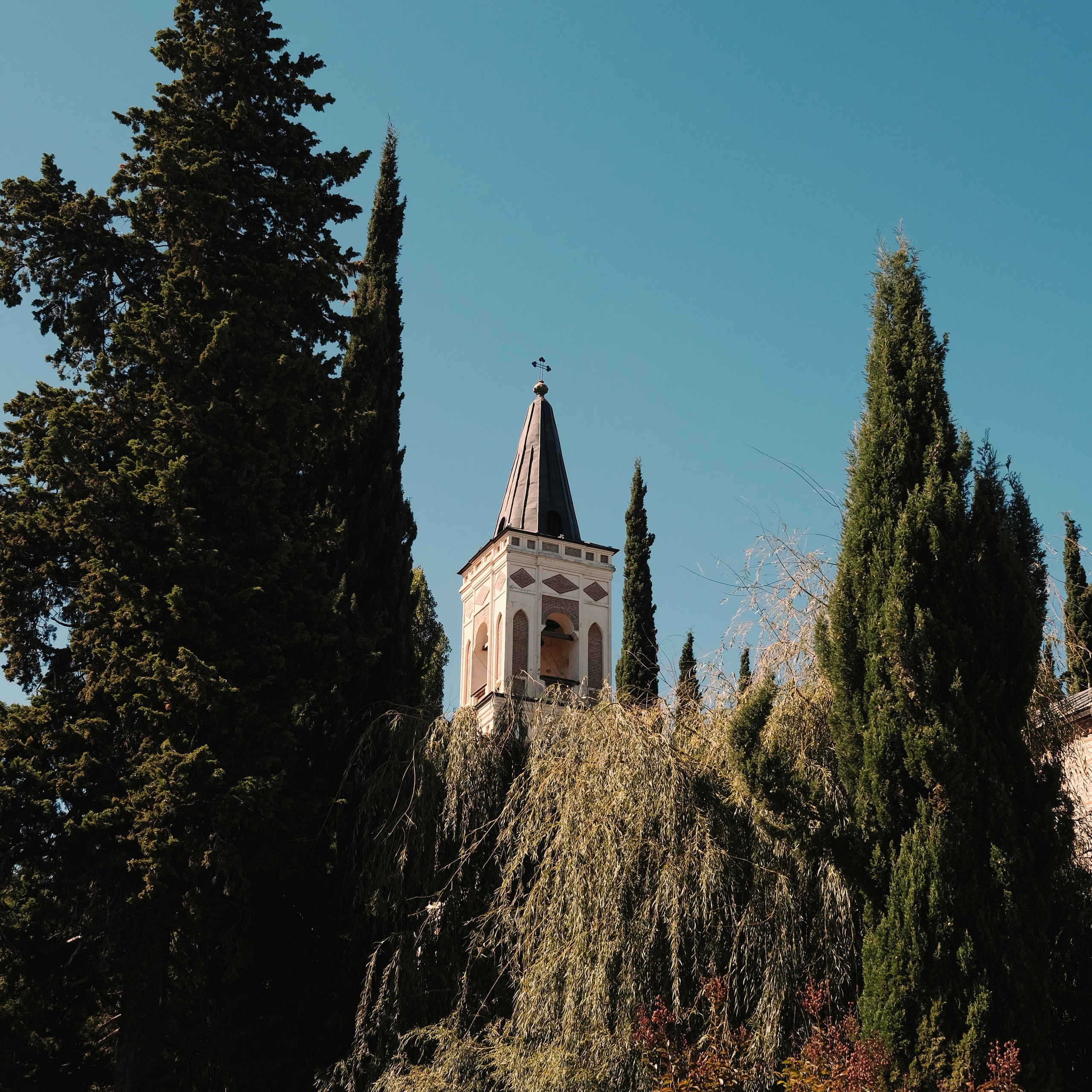 Грузия 2022. Фотограф и видеограф Анна Жагорина