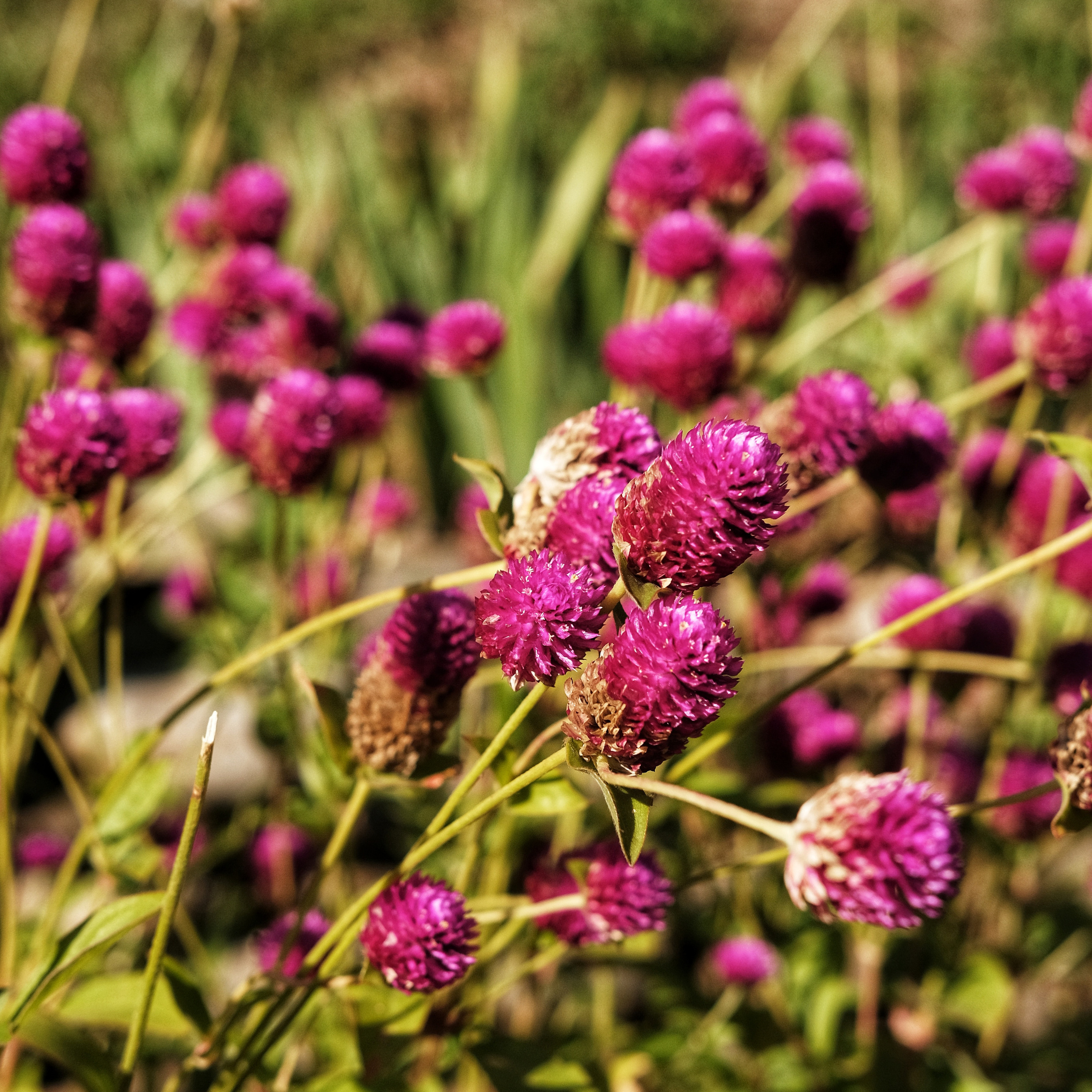 Грузия 2022. Фотограф и видеограф Анна Жагорина