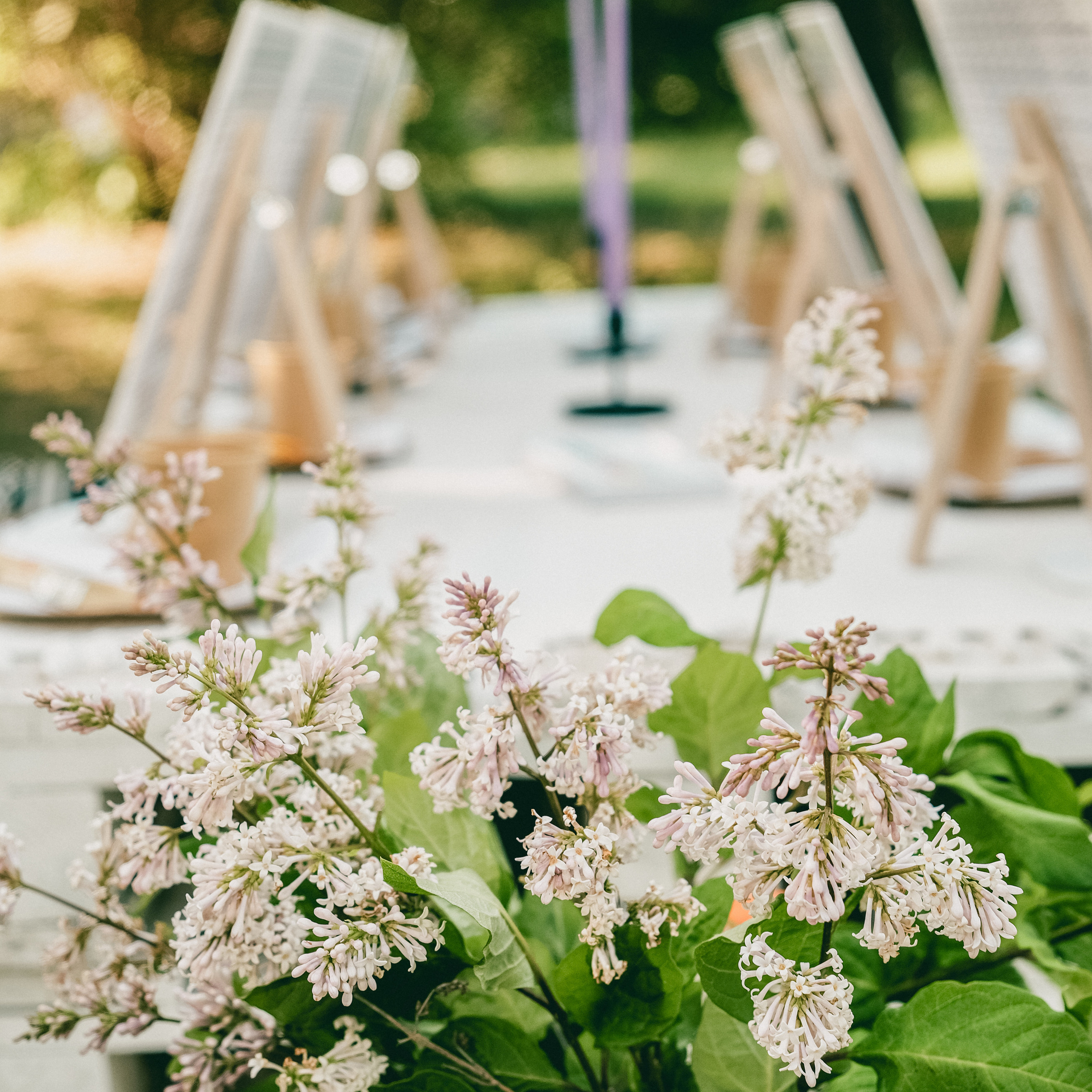 Арт-пикник Оксаны Ситниковой. Фотограф и видеограф Анна Жагорина