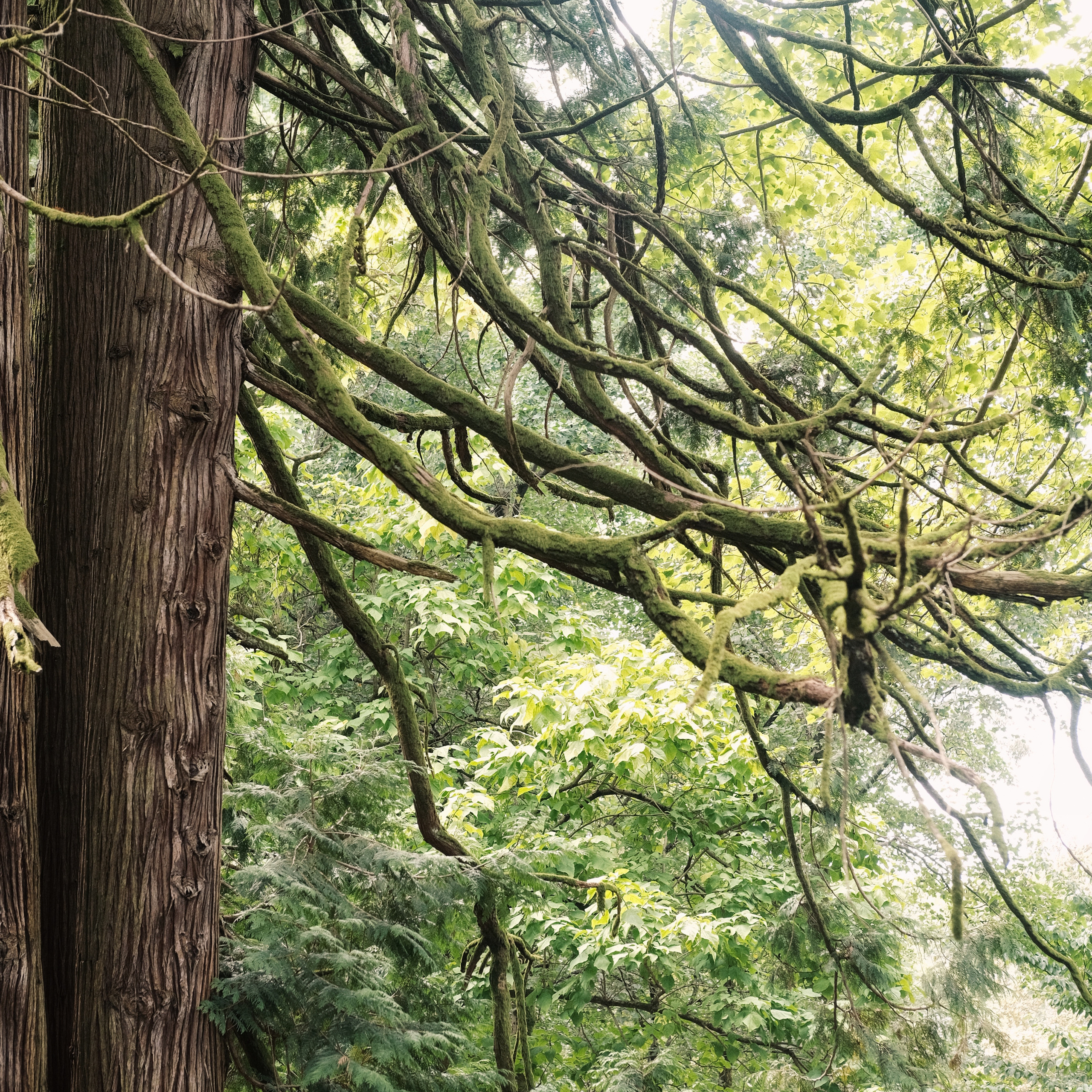 Грузия 2022. Фотограф и видеограф Анна Жагорина