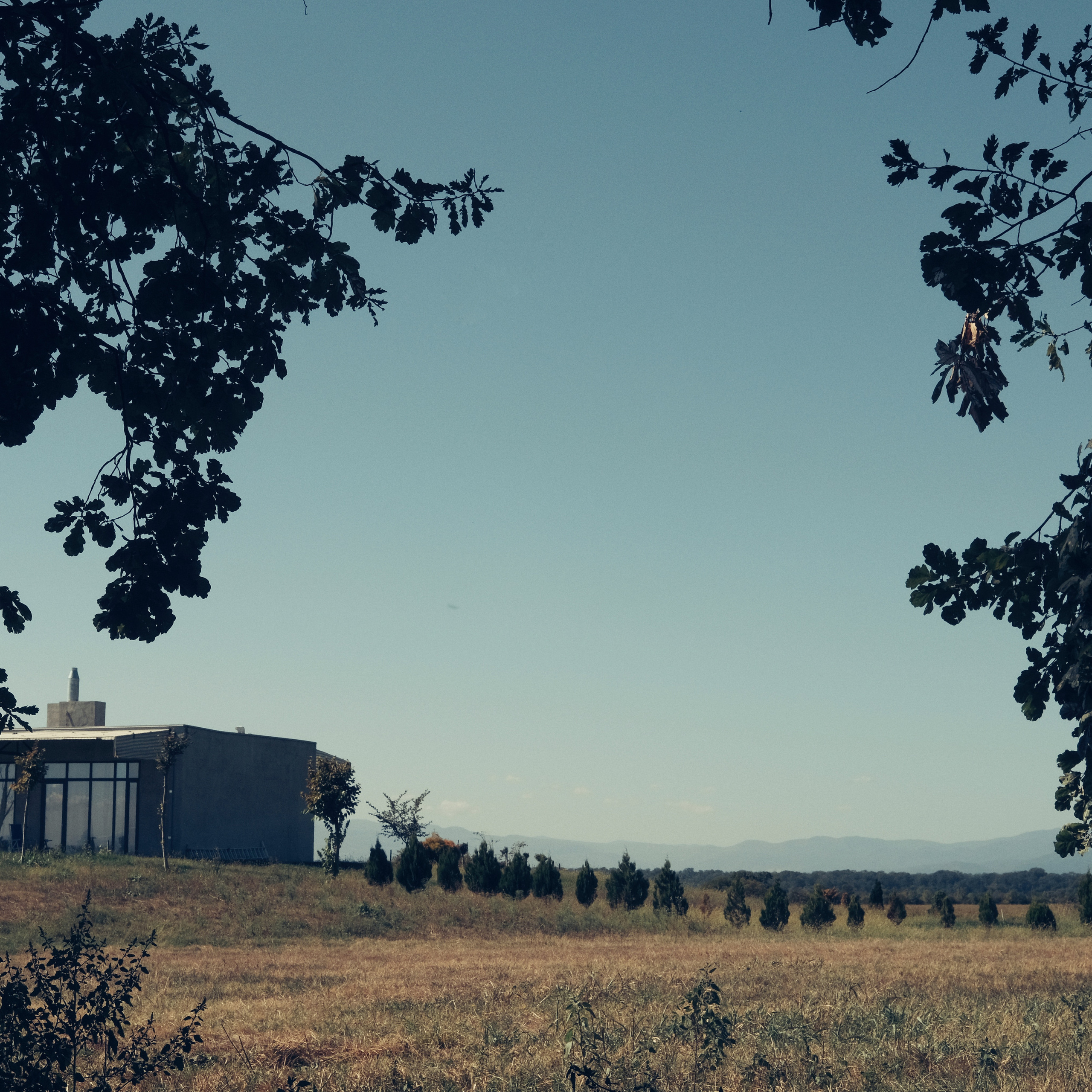 Грузия 2022. Фотограф и видеограф Анна Жагорина