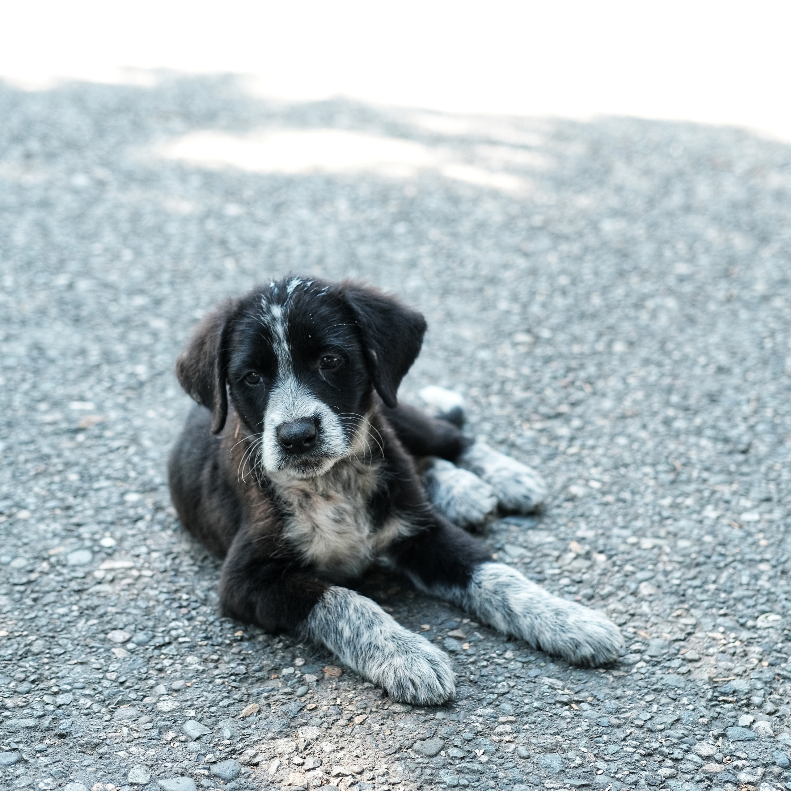 Грузия 2022. Фотограф и видеограф Анна Жагорина