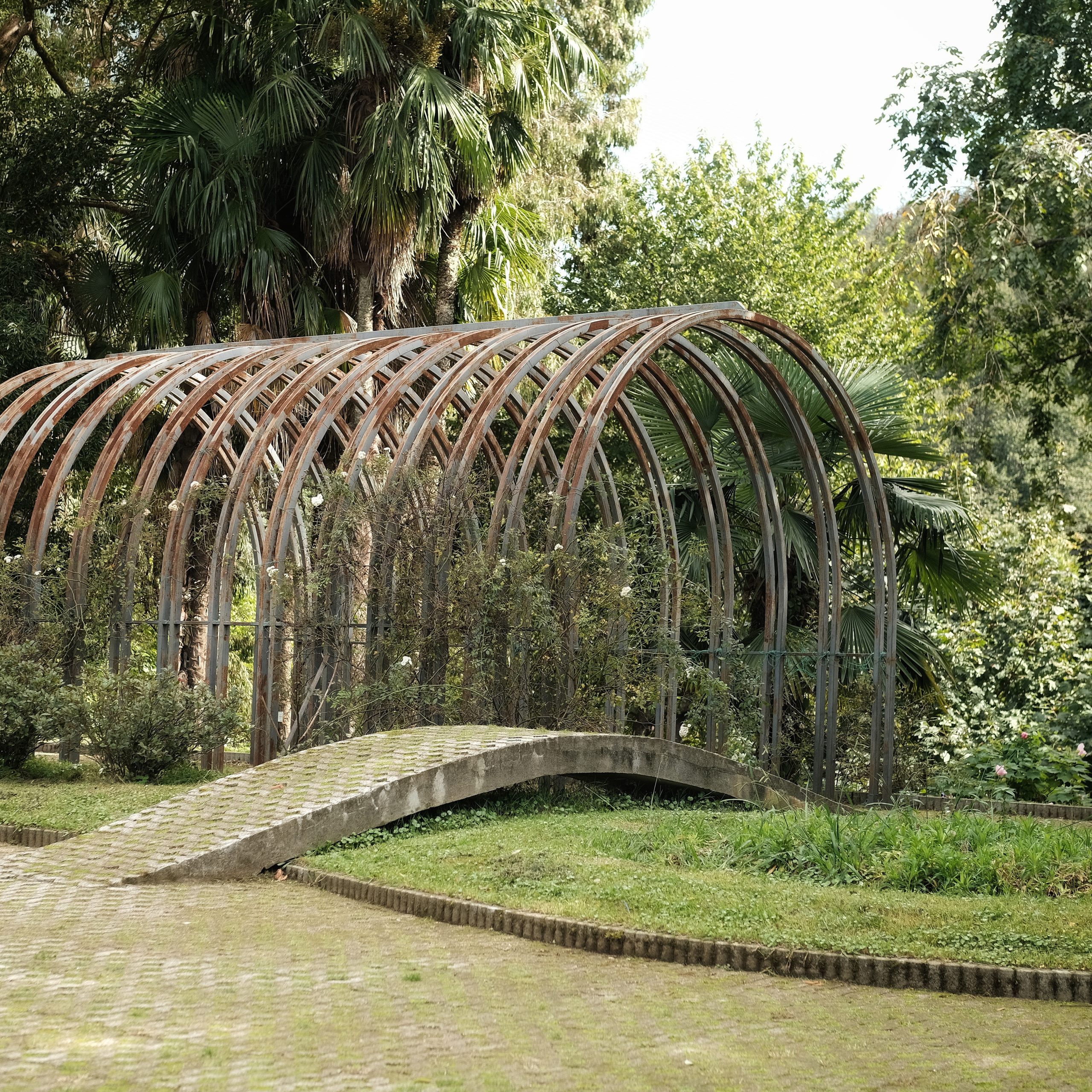 Грузия 2022. Фотограф и видеограф Анна Жагорина