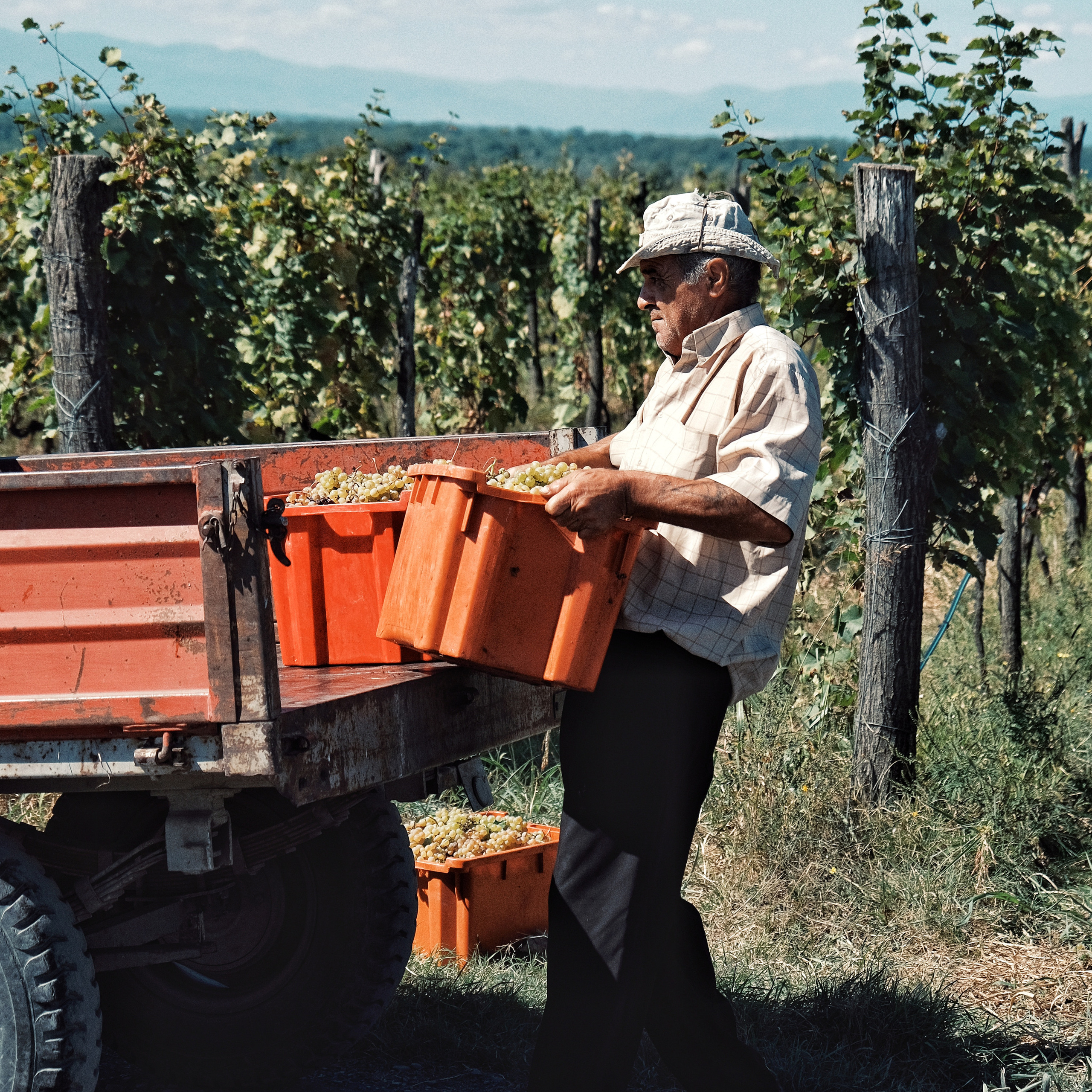 Грузия 2022. Фотограф и видеограф Анна Жагорина