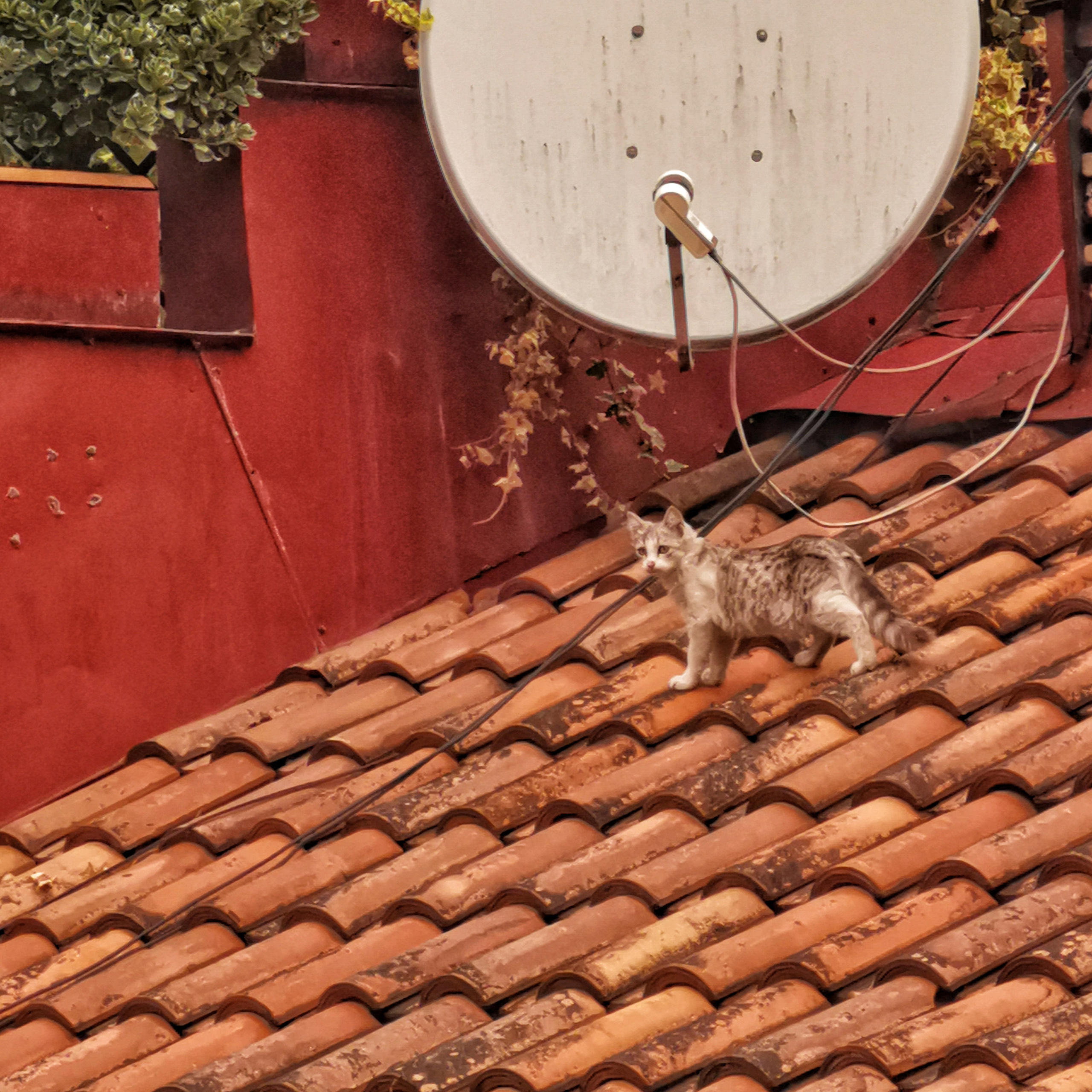 Грузия 2022. Фотограф и видеограф Анна Жагорина