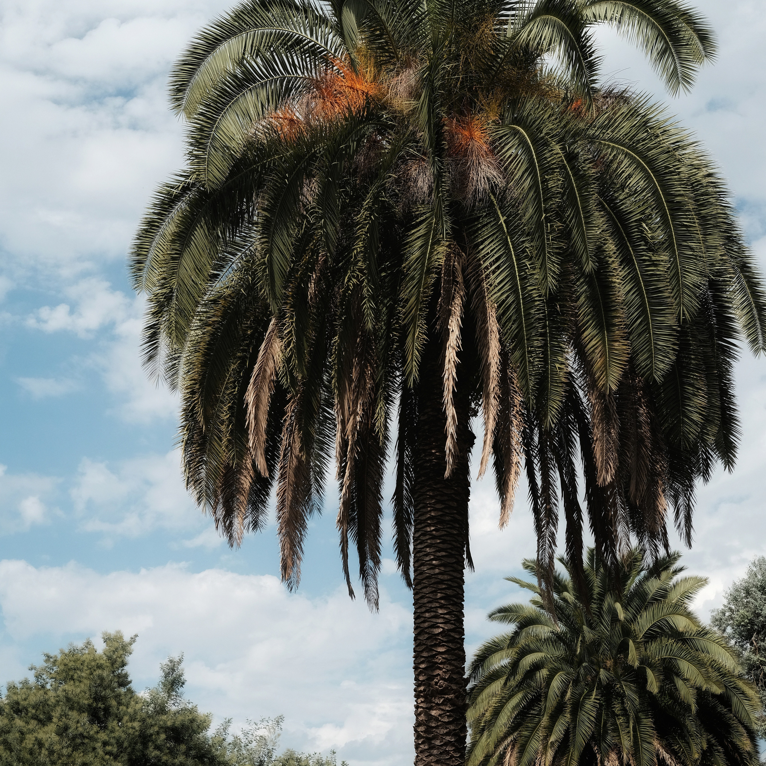 Грузия 2022. Фотограф и видеограф Анна Жагорина