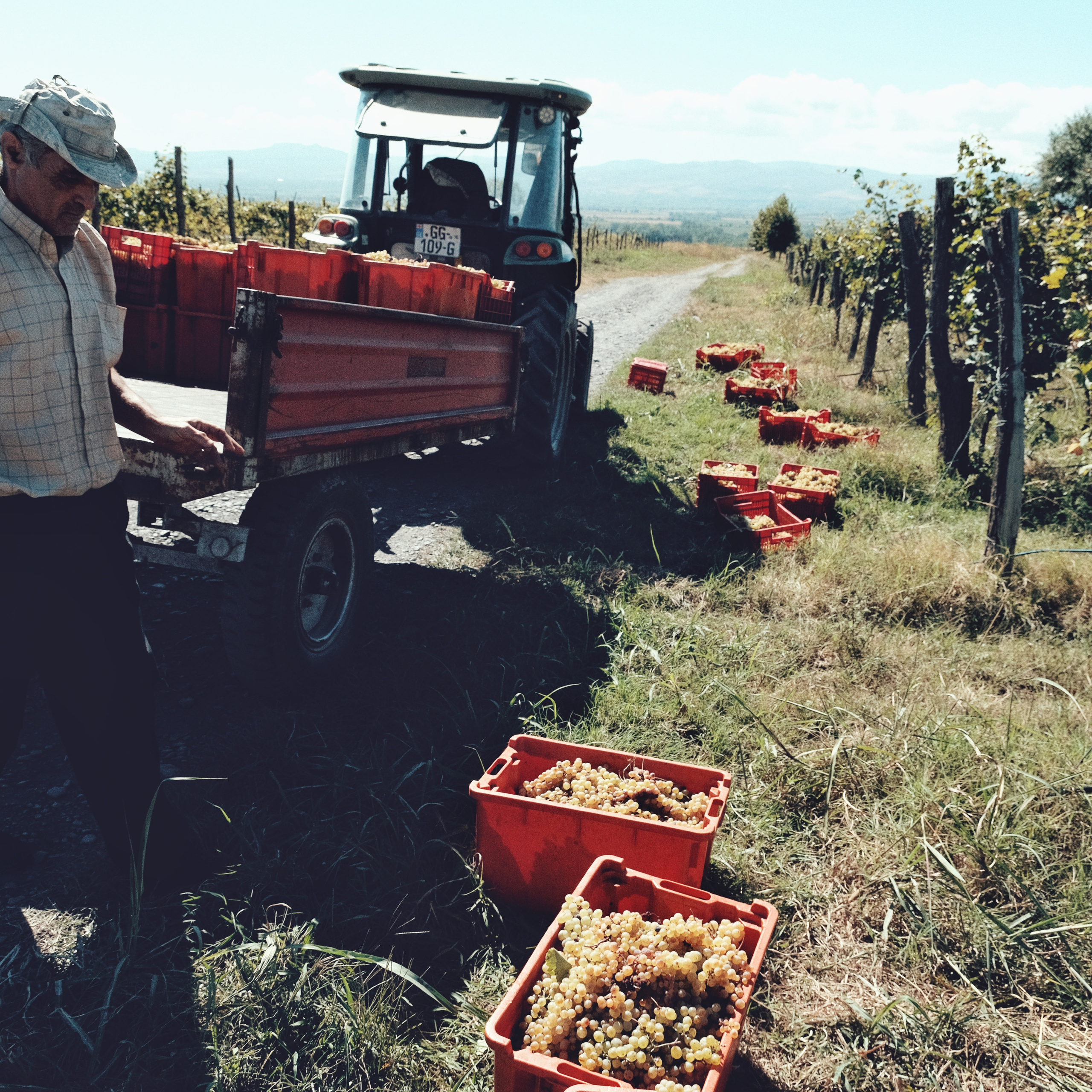 Грузия 2022. Фотограф и видеограф Анна Жагорина