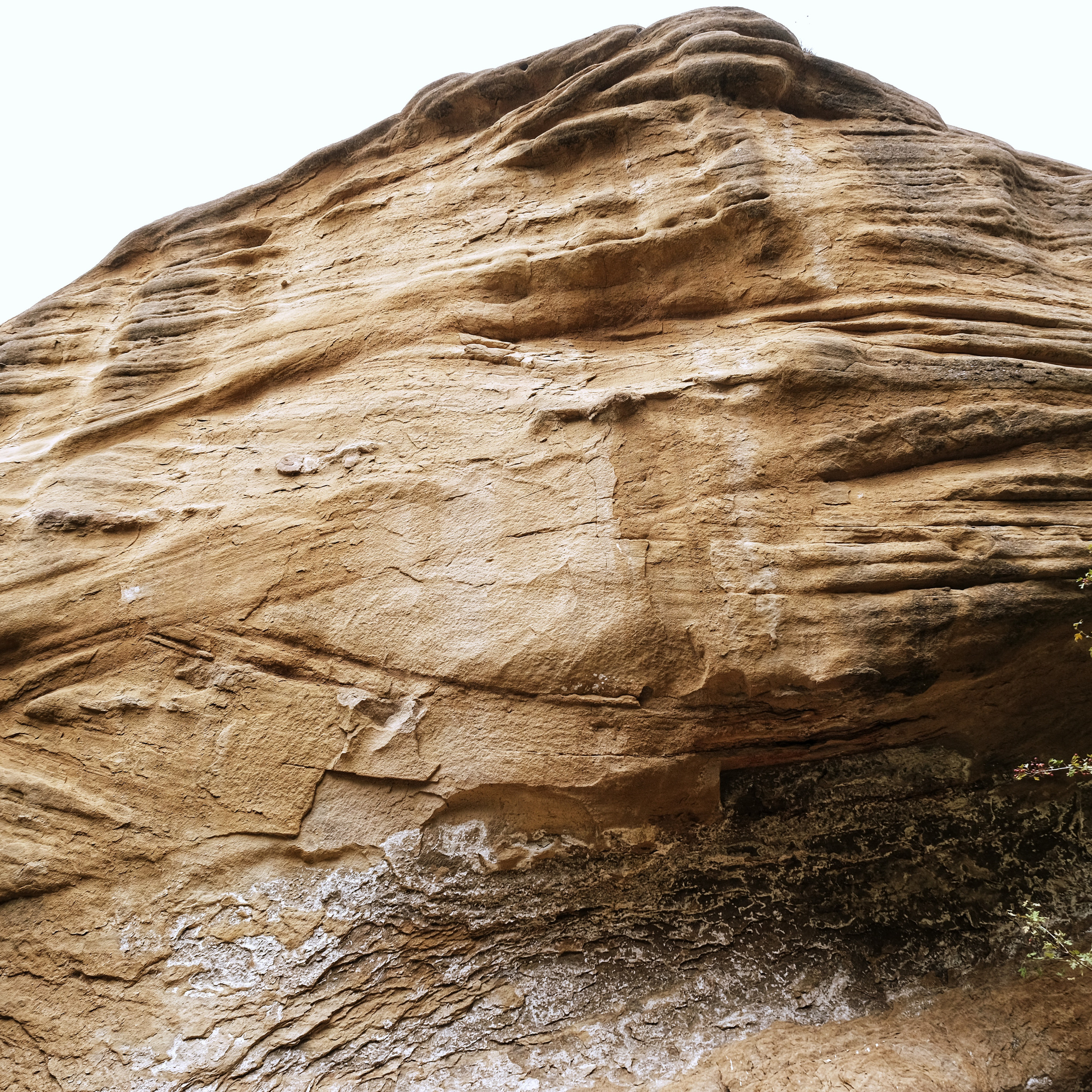 Грузия 2022. Фотограф и видеограф Анна Жагорина