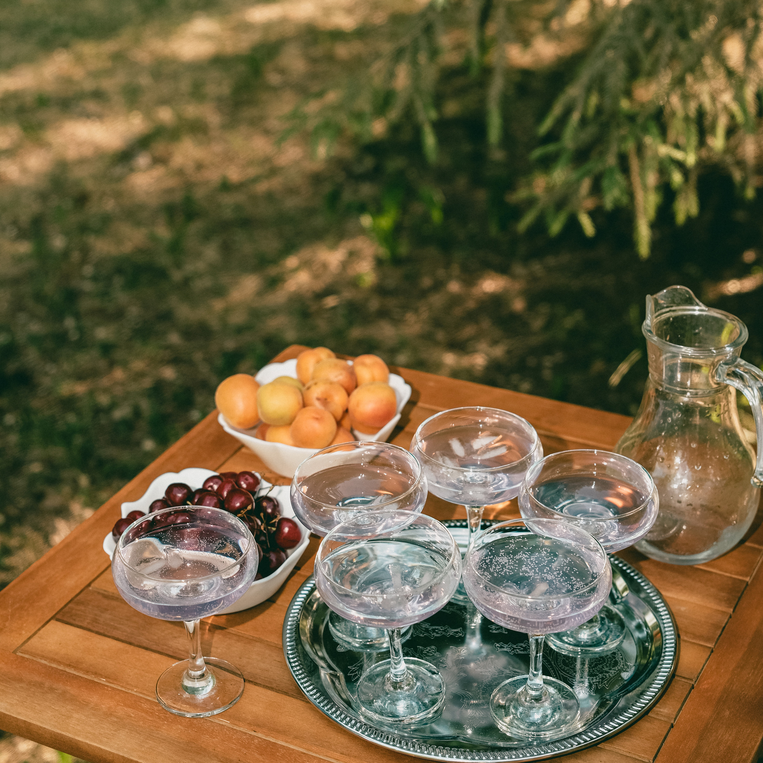Арт-пикник Оксаны Ситниковой. Фотограф и видеограф Анна Жагорина