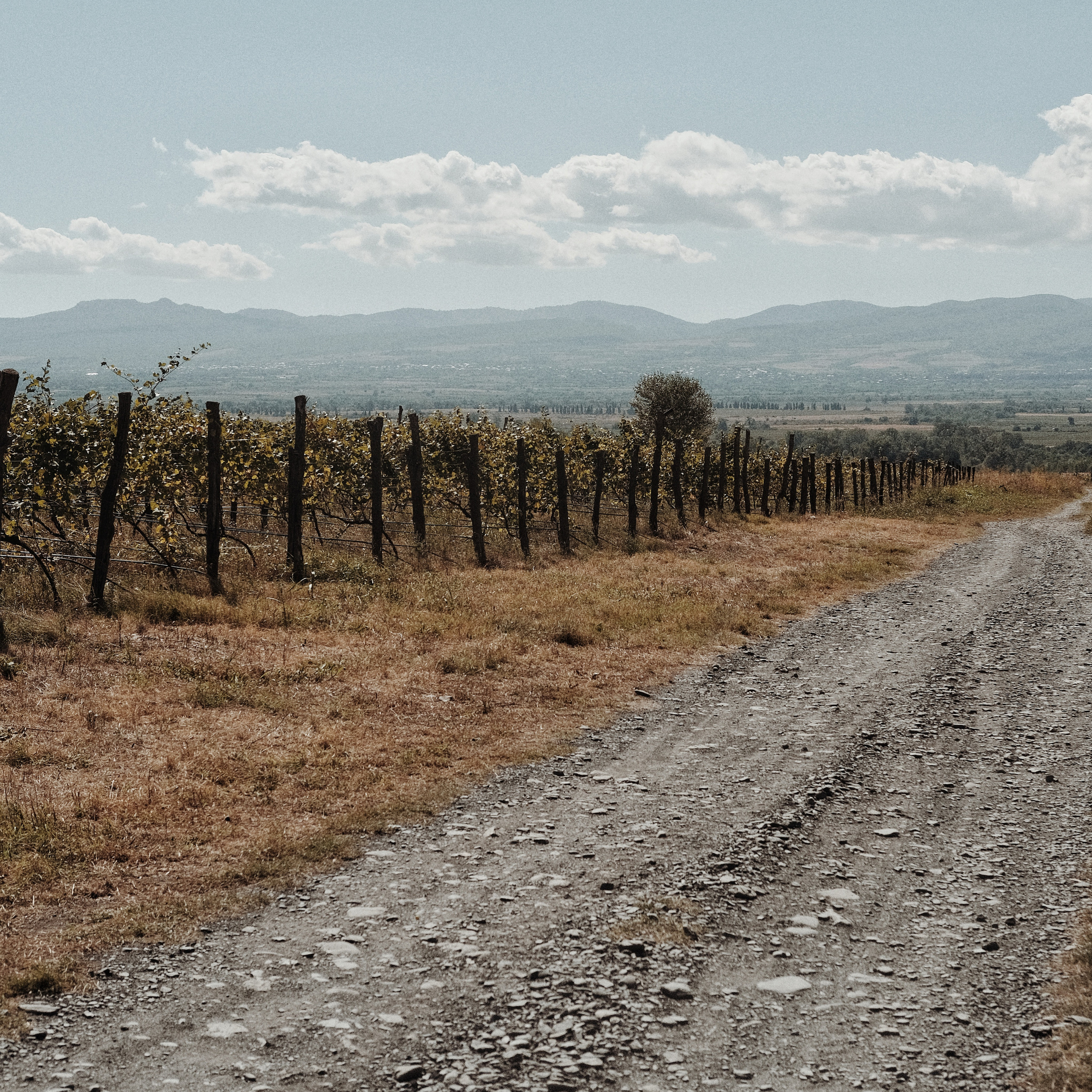 Грузия 2022. Фотограф и видеограф Анна Жагорина