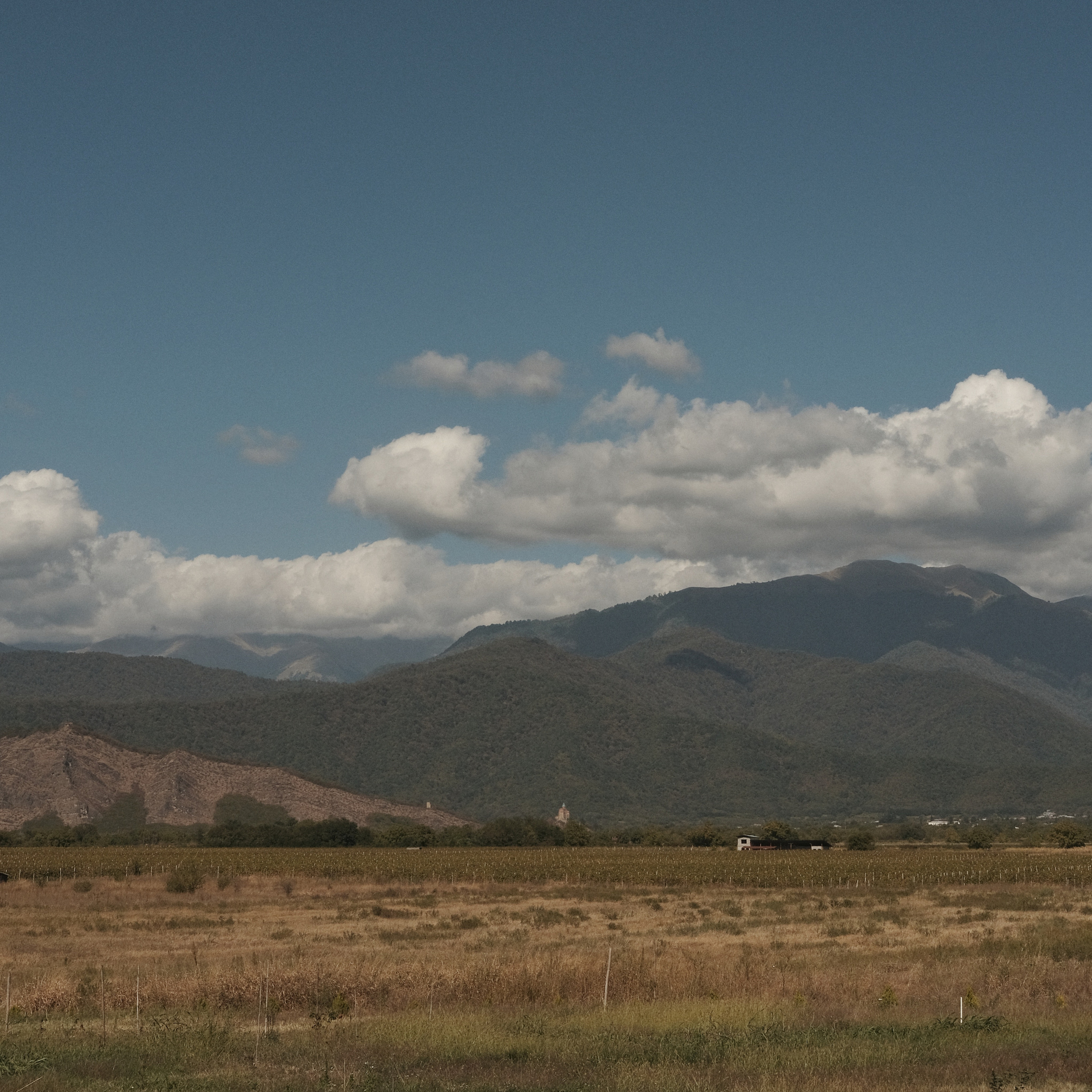 Грузия 2022. Фотограф и видеограф Анна Жагорина