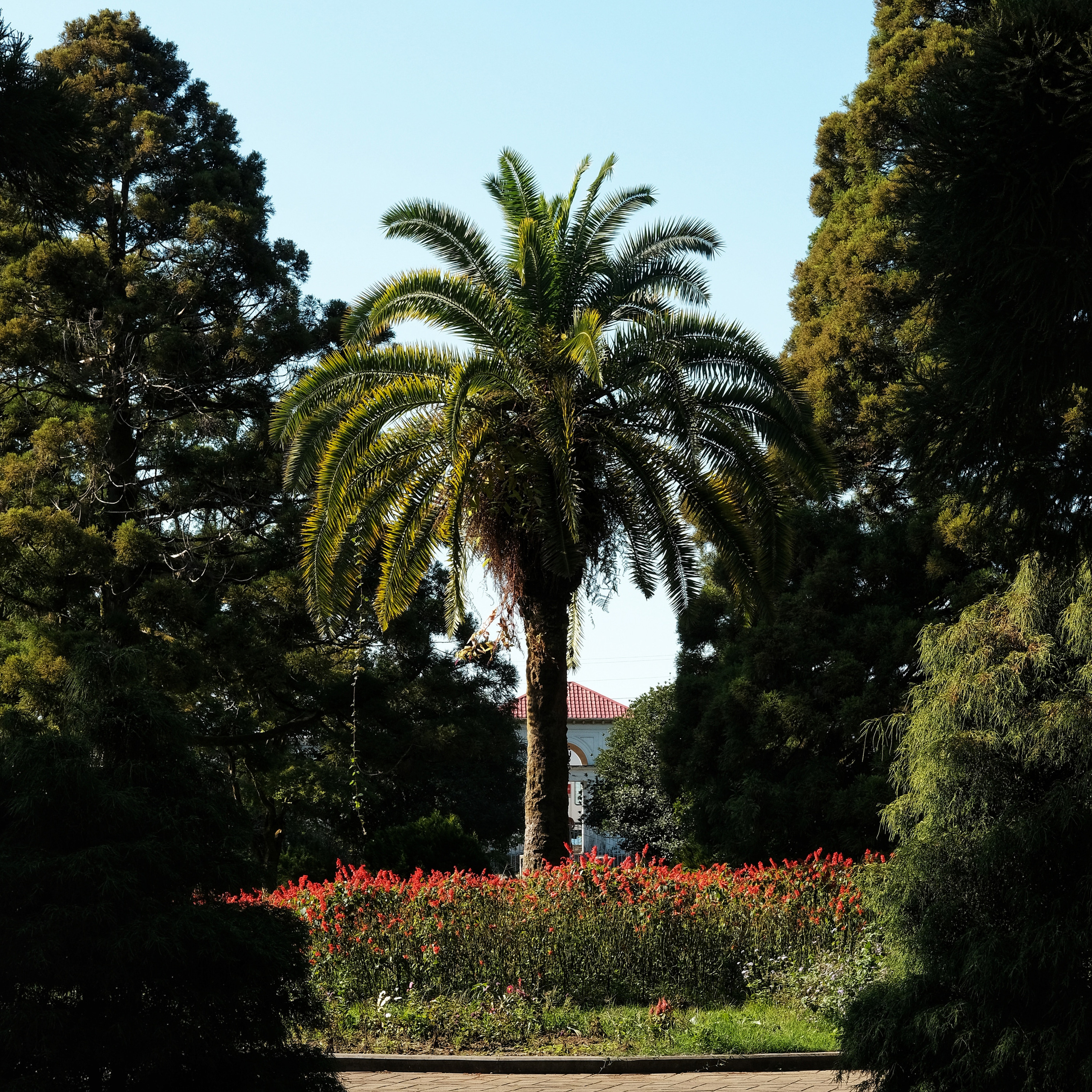 Грузия 2022. Фотограф и видеограф Анна Жагорина