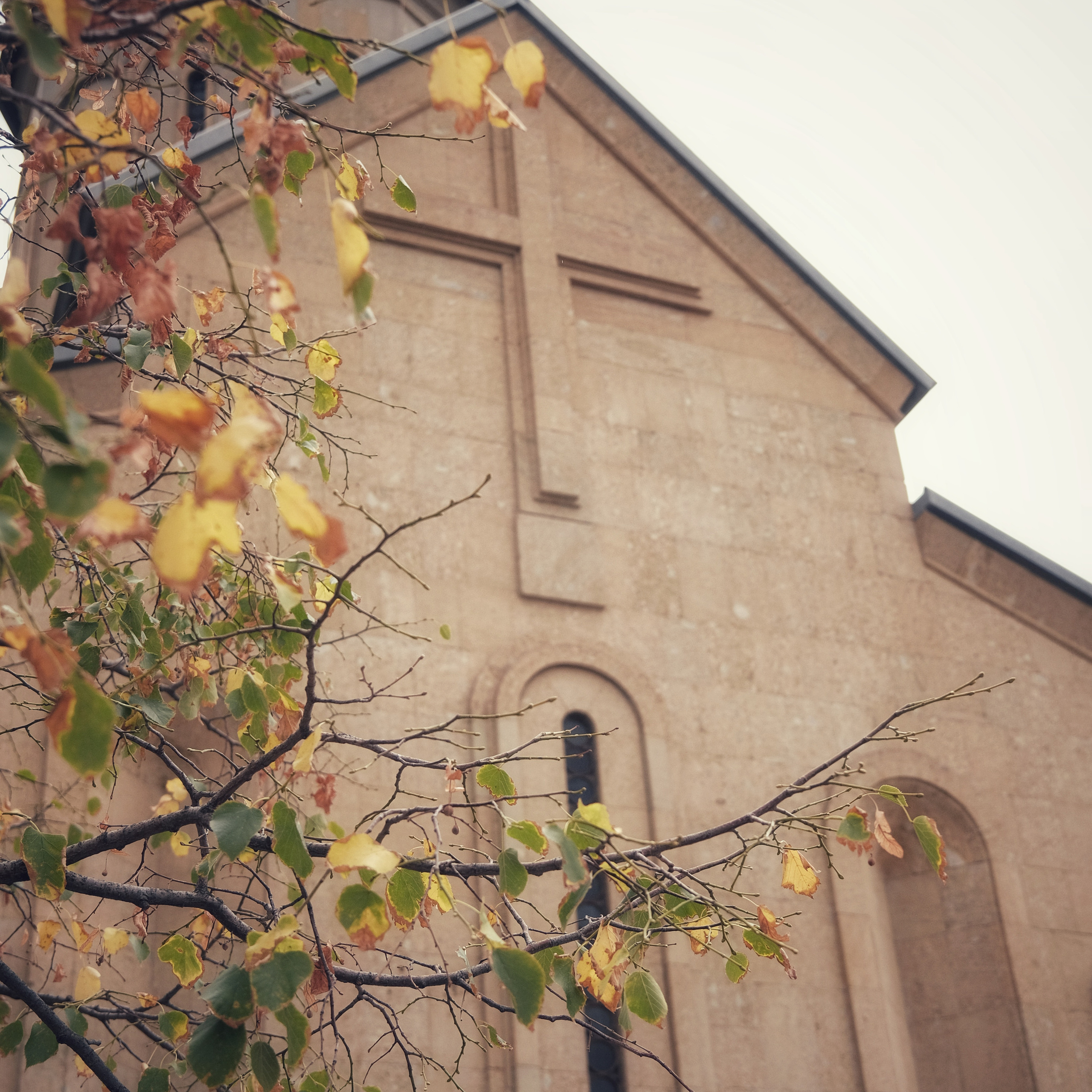 Грузия 2022. Фотограф и видеограф Анна Жагорина