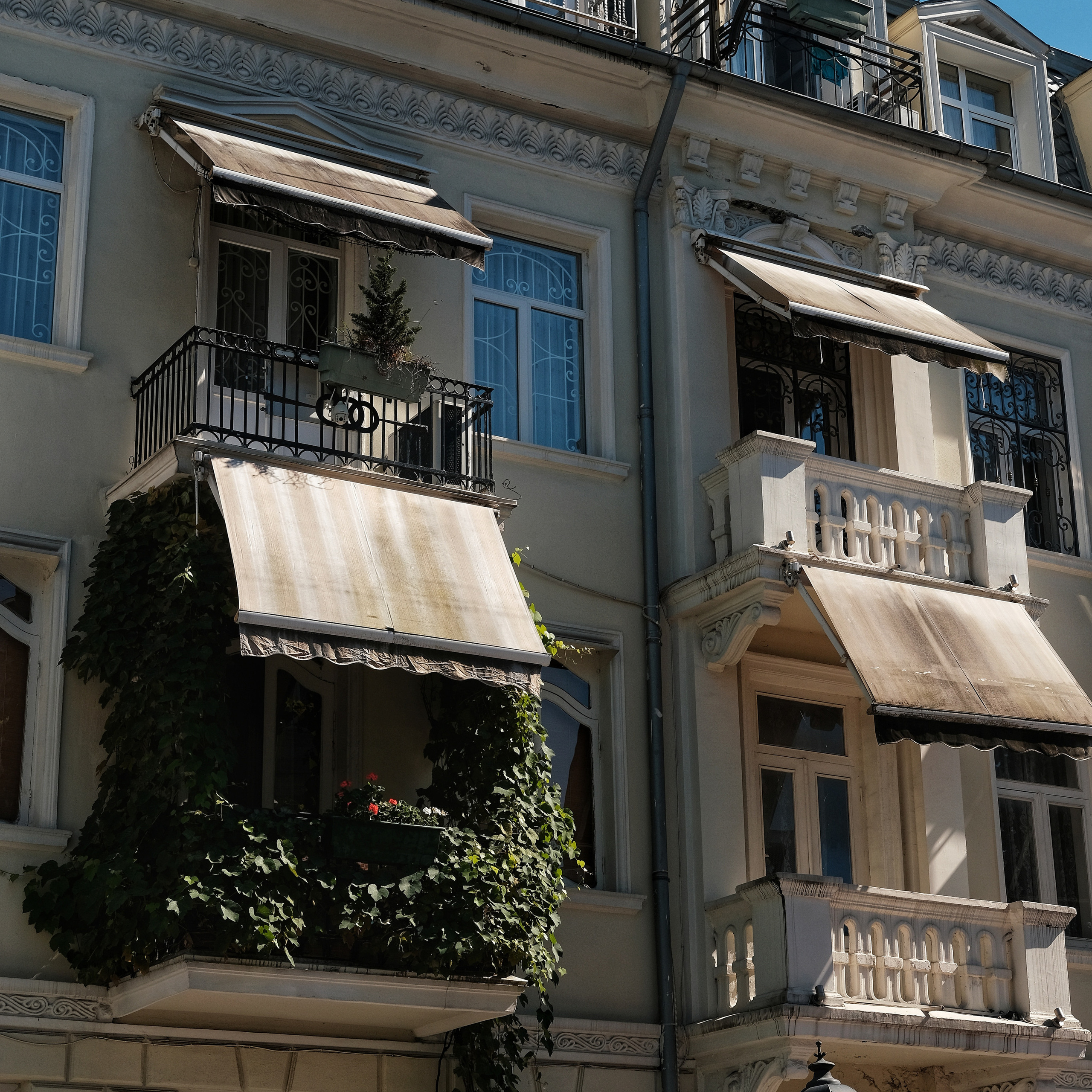 Грузия 2022. Фотограф и видеограф Анна Жагорина