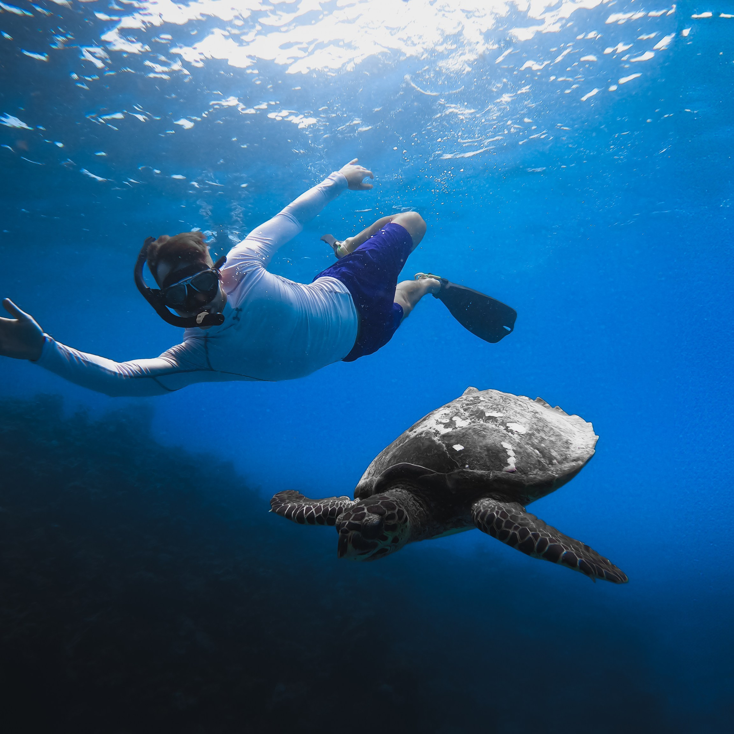 съемка под водой на Мальдивах