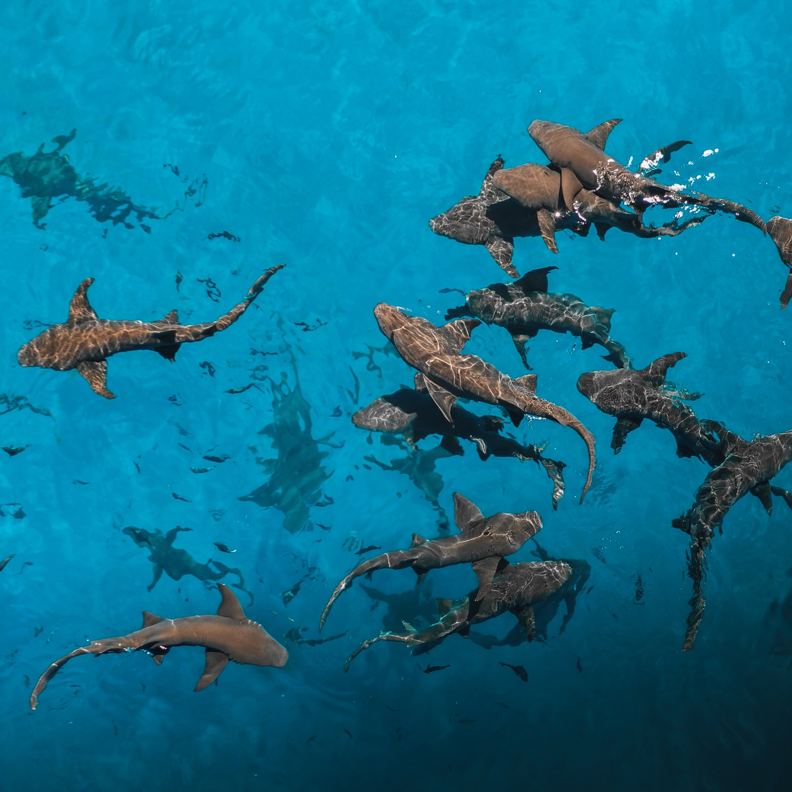 Съемка видео на Мальдивах