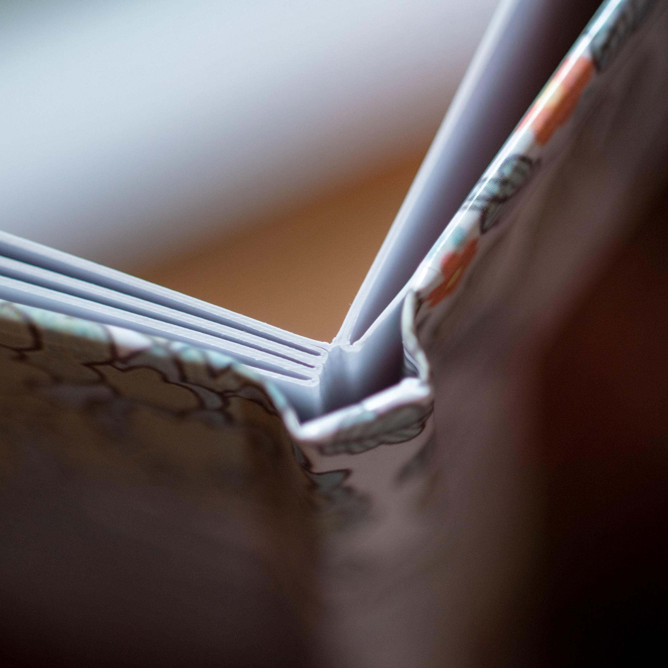 Детские садики. Сергей Богомолов. Свадебный и семейный фотограф