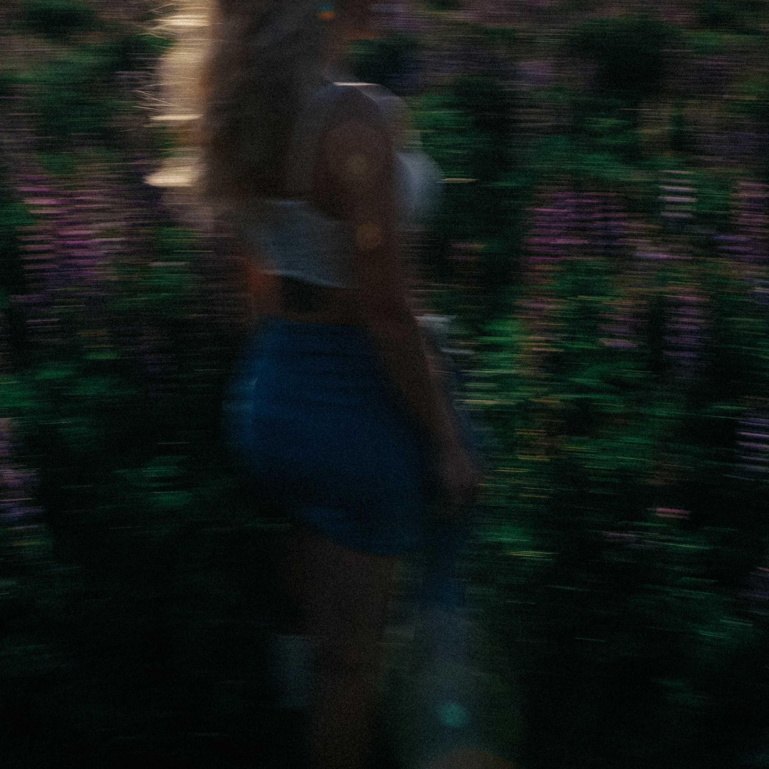 Фотосессия в люпиновом поле. Свадебный и семейный фотограф Виктория Носачёва. Щелково, Москва и МО