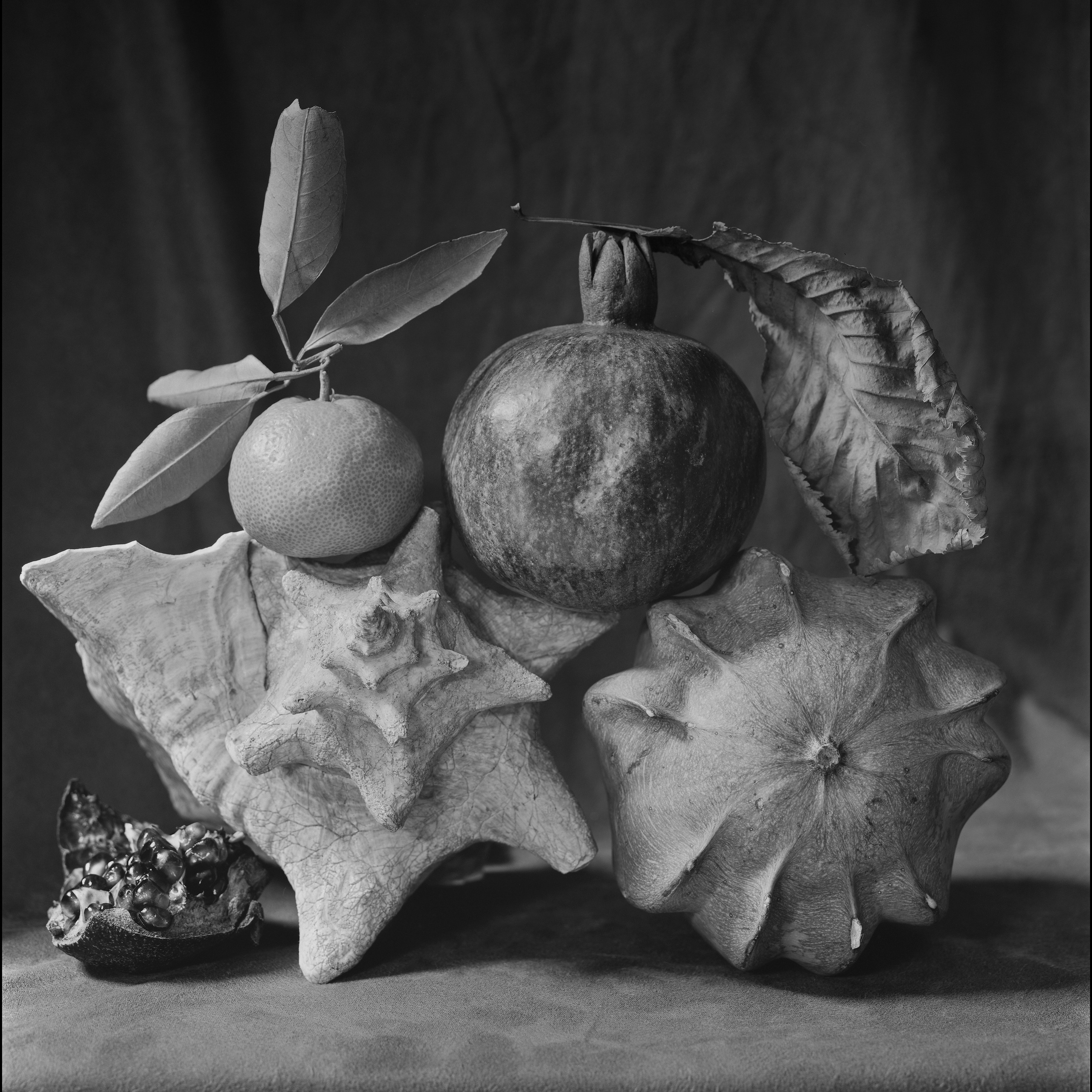 still-life