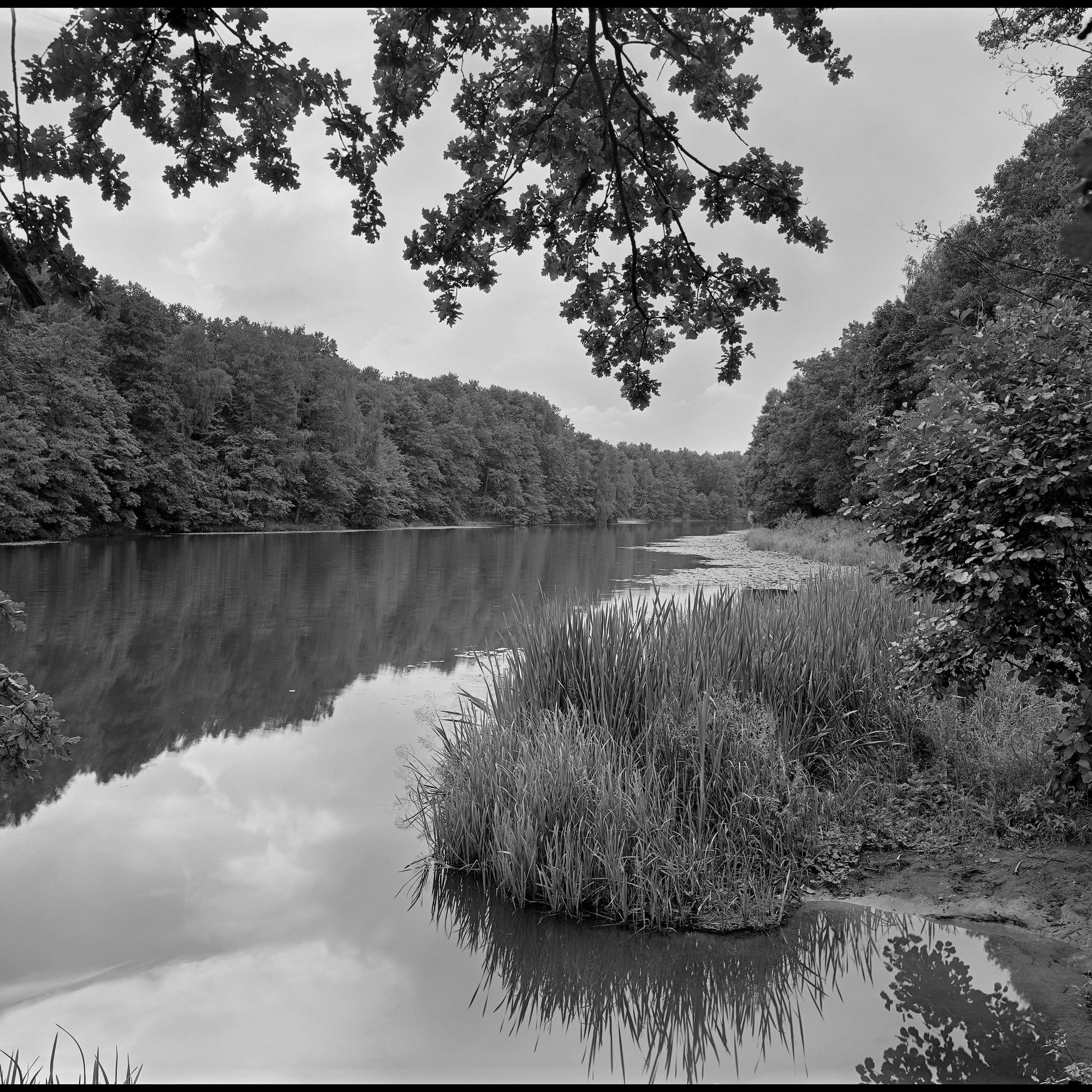 Landscape