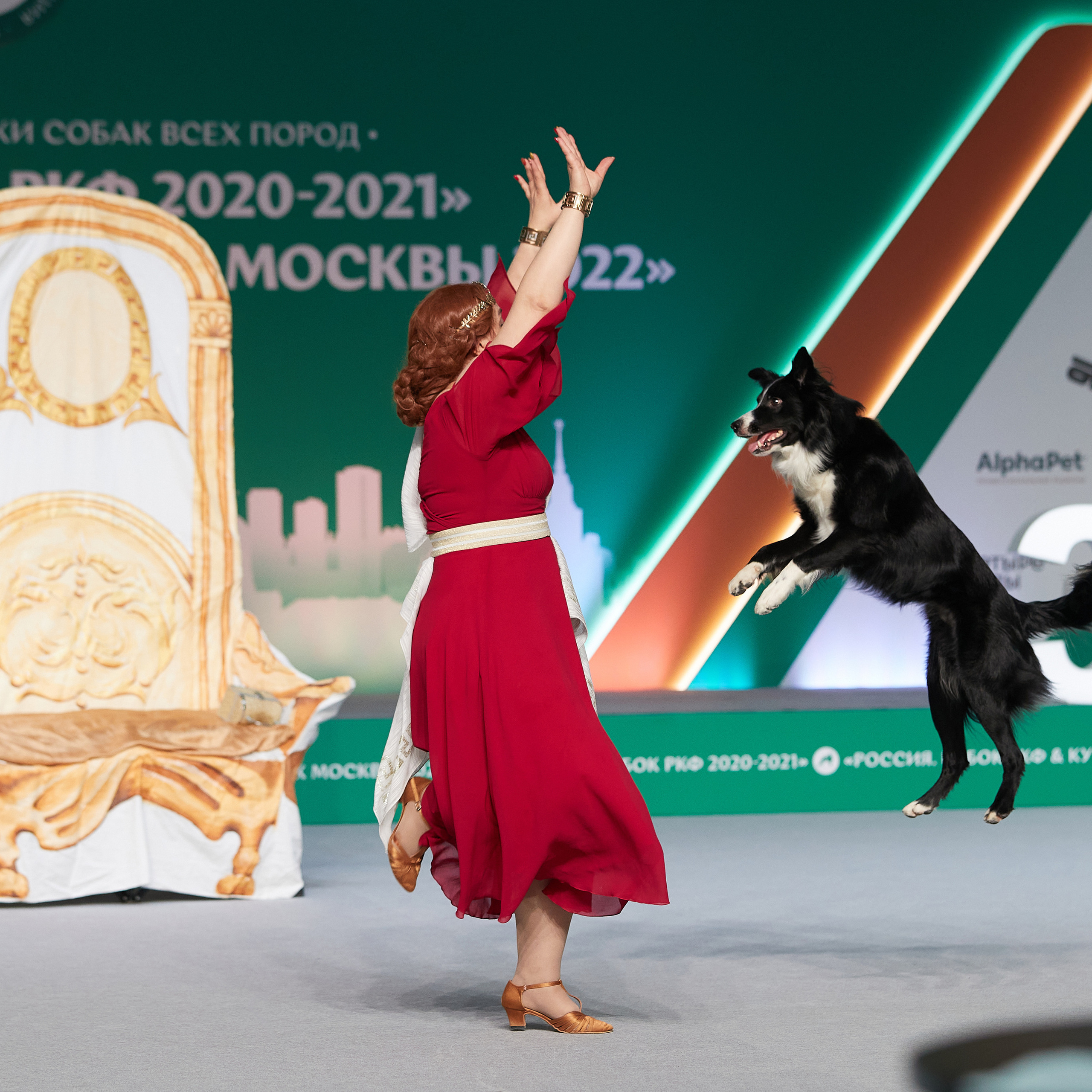 «Россия» в Крокусе. ФОТОГРАФ-АНИМАЛИСТ l LANA POLYAKOVA