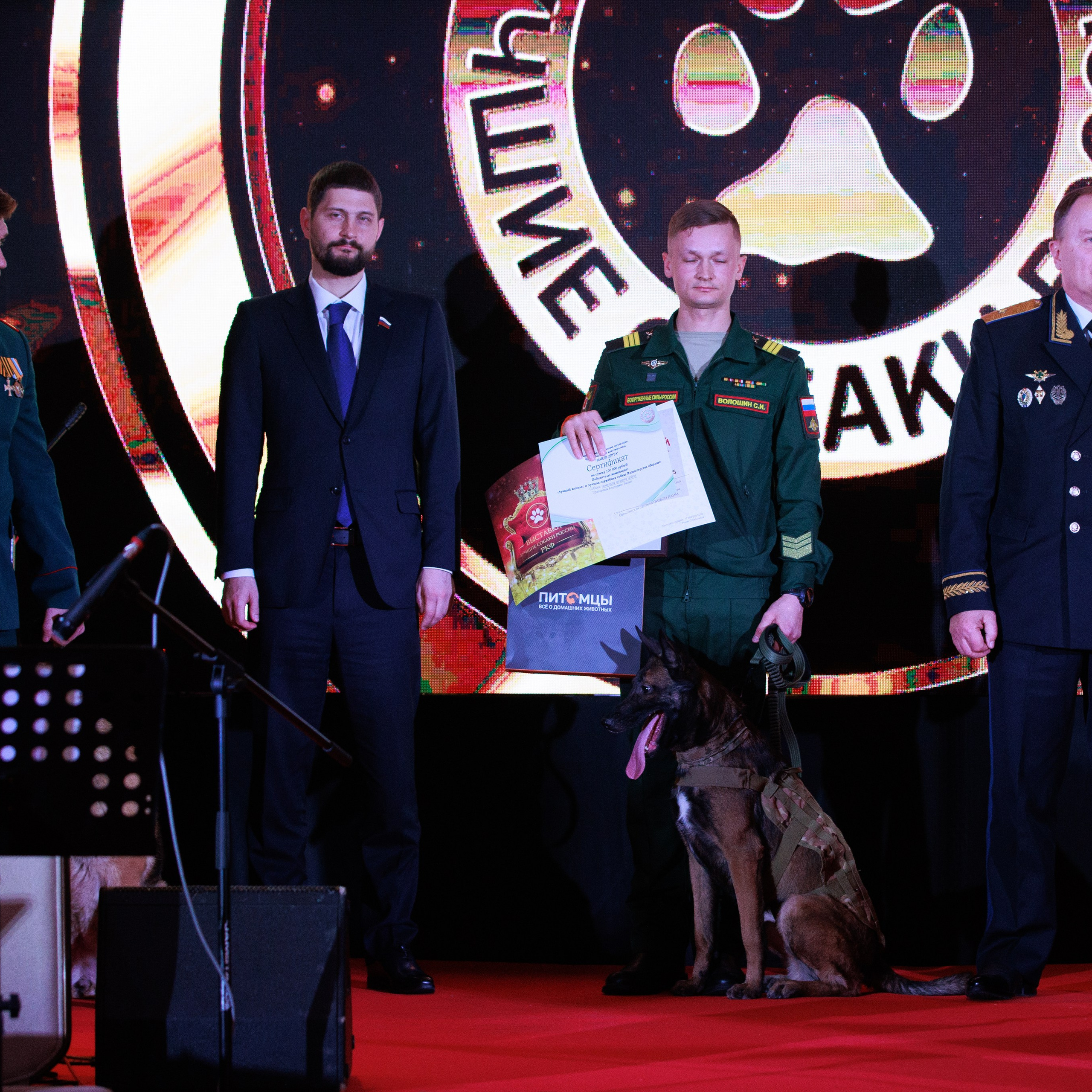 Репортаж с церемонии «BEST RUSSIAN DOG 2024». ФОТОГРАФ-АНИМАЛИСТ l LANA POLYAKOVA