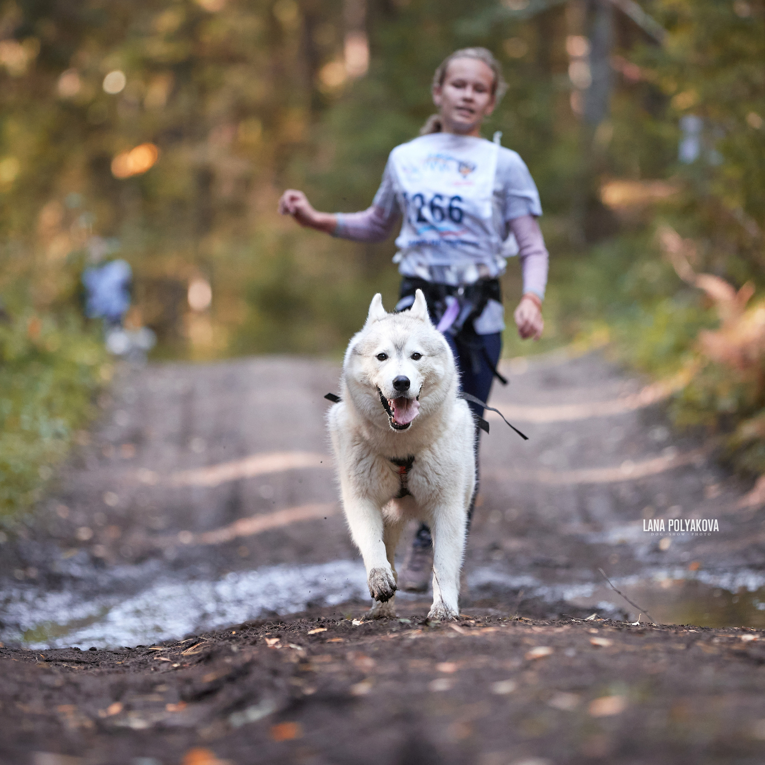 Чемпионат РКФ FCISDR 24-25.09.22. ФОТОГРАФ-АНИМАЛИСТ l LANA POLYAKOVA