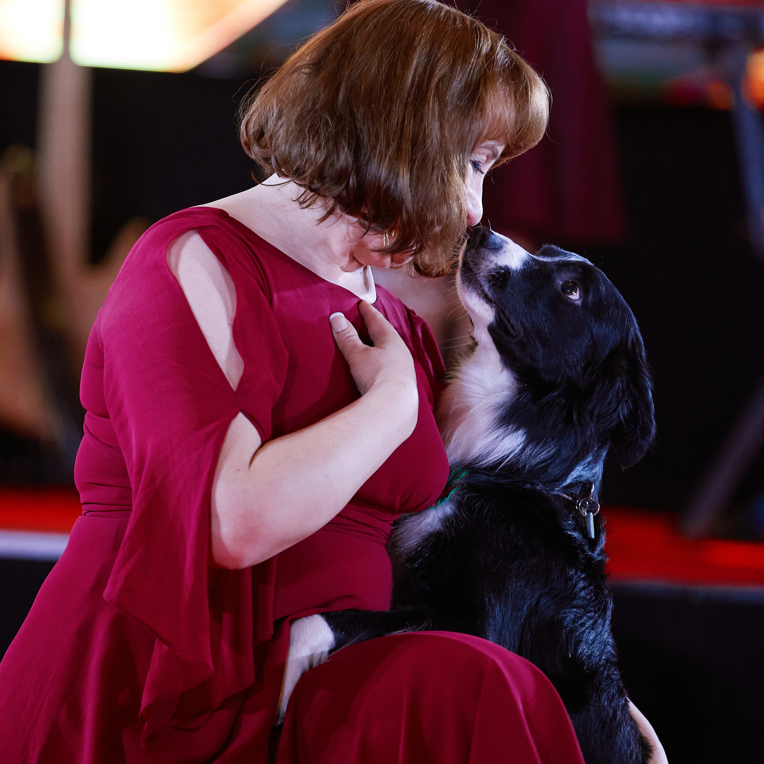 Репортаж с церемонии «BEST RUSSIAN DOG 2021». ФОТОГРАФ-АНИМАЛИСТ l LANA POLYAKOVA