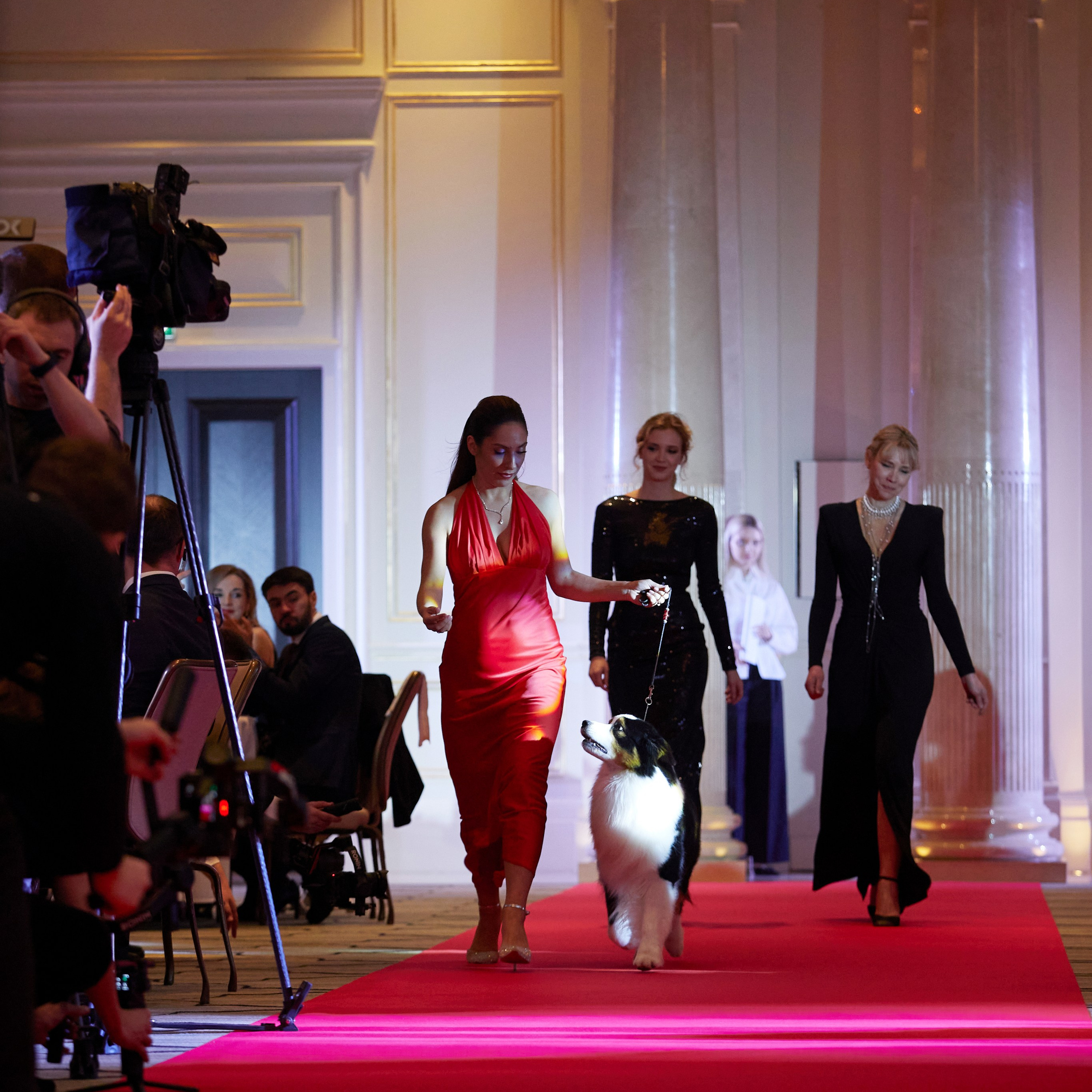 Репортаж с церемонии «BEST RUSSIAN DOG 2024». ФОТОГРАФ-АНИМАЛИСТ l LANA POLYAKOVA