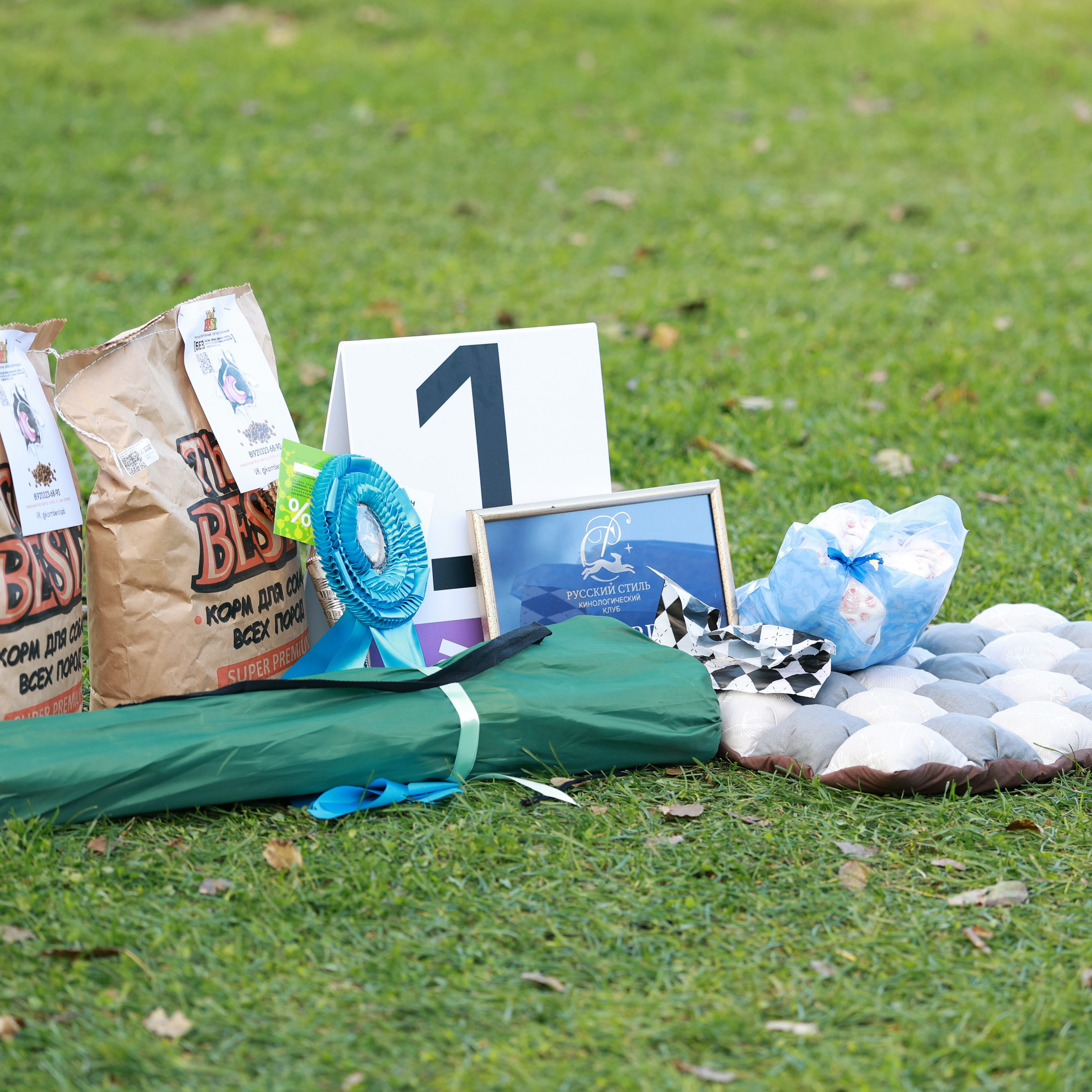 27-28.09.2025 ВЫСТАВКИ СОБАК ВСЕХ ПОРОД (САС, ЧРКФ, ЧФ). ФОТОГРАФ-АНИМАЛИСТ l LANA POLYAKOVA