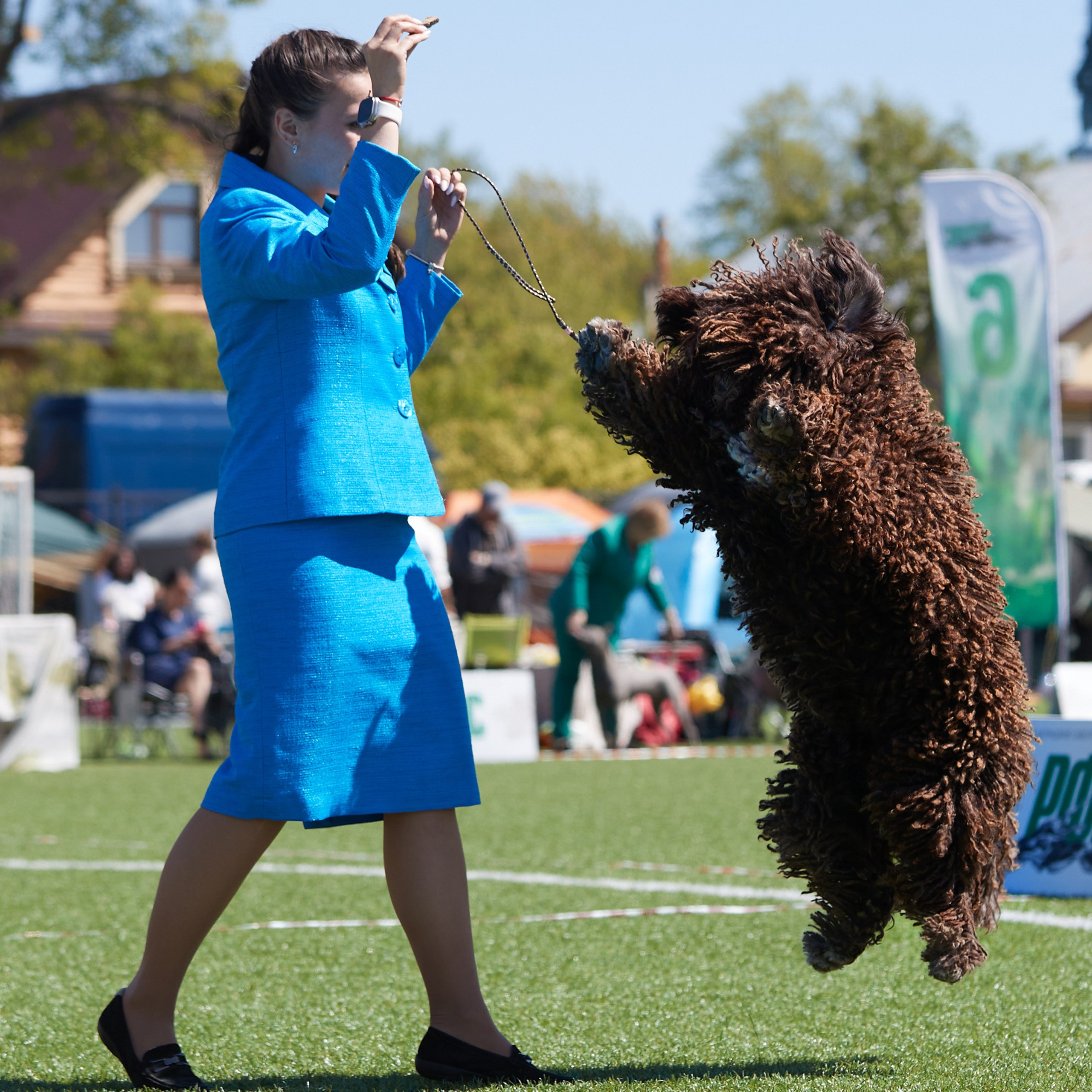 Отгремела «Суздаль-2024». ФОТОГРАФ-АНИМАЛИСТ l LANA POLYAKOVA
