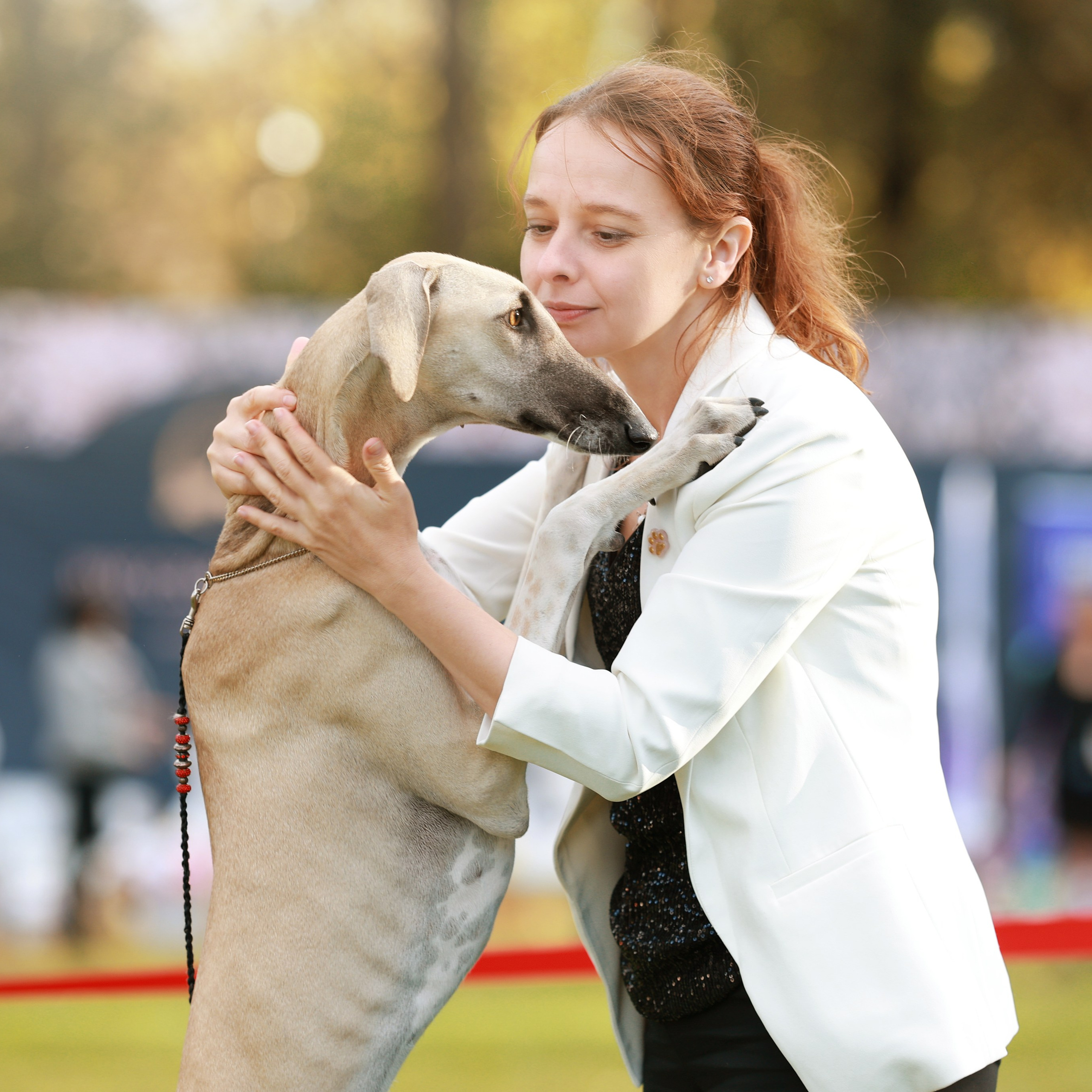 27-28.09.2025 ВЫСТАВКИ СОБАК ВСЕХ ПОРОД (САС, ЧРКФ, ЧФ). ФОТОГРАФ-АНИМАЛИСТ l LANA POLYAKOVA