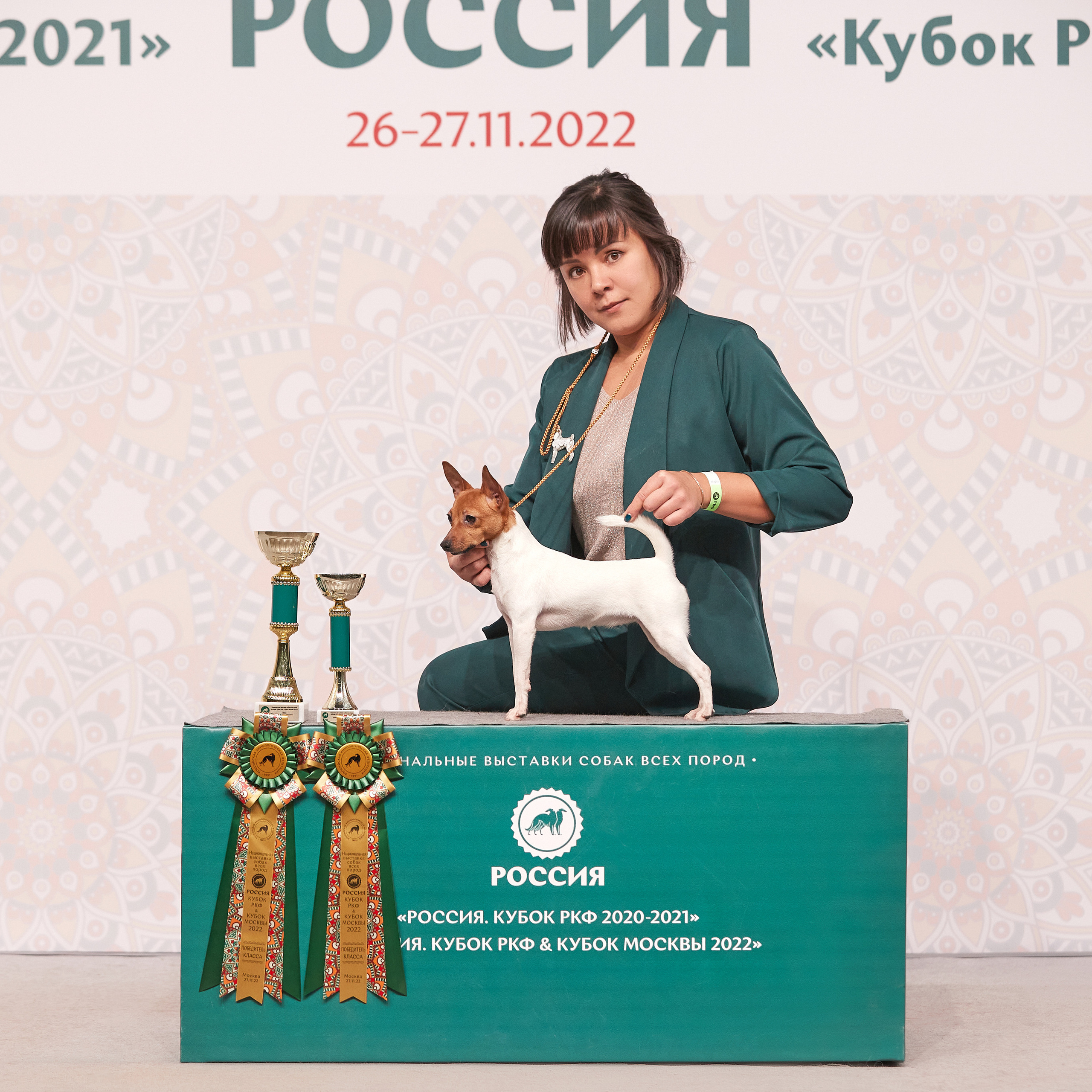 «Россия» в Крокусе. ФОТОГРАФ-АНИМАЛИСТ l LANA POLYAKOVA