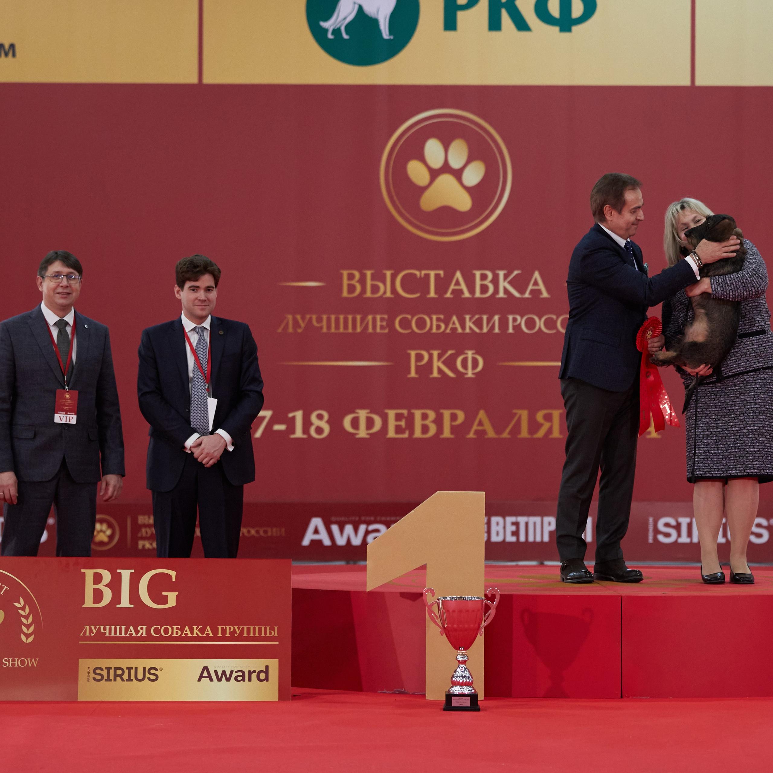 Новое шоу чемпионов «ЛУЧШИЕ СОБАКИ РОССИИ». ФОТОГРАФ-АНИМАЛИСТ l LANA POLYAKOVA