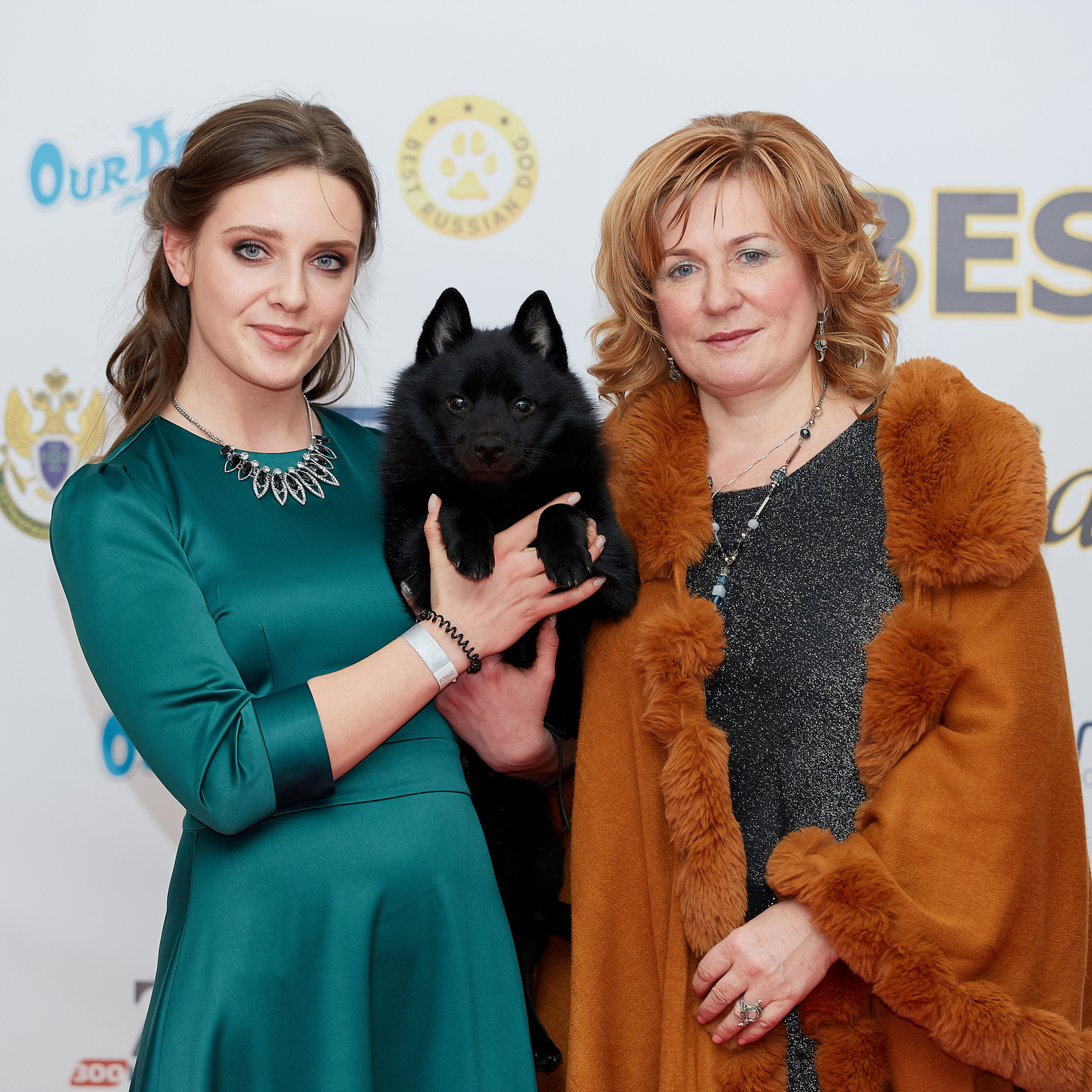 НАГРАЖДЕНИЕ ПОБЕДИТЕЛЕЙ РЕЙТИНГА «BEST RUSSIAN DOG». ФОТОГРАФ-АНИМАЛИСТ l LANA POLYAKOVA