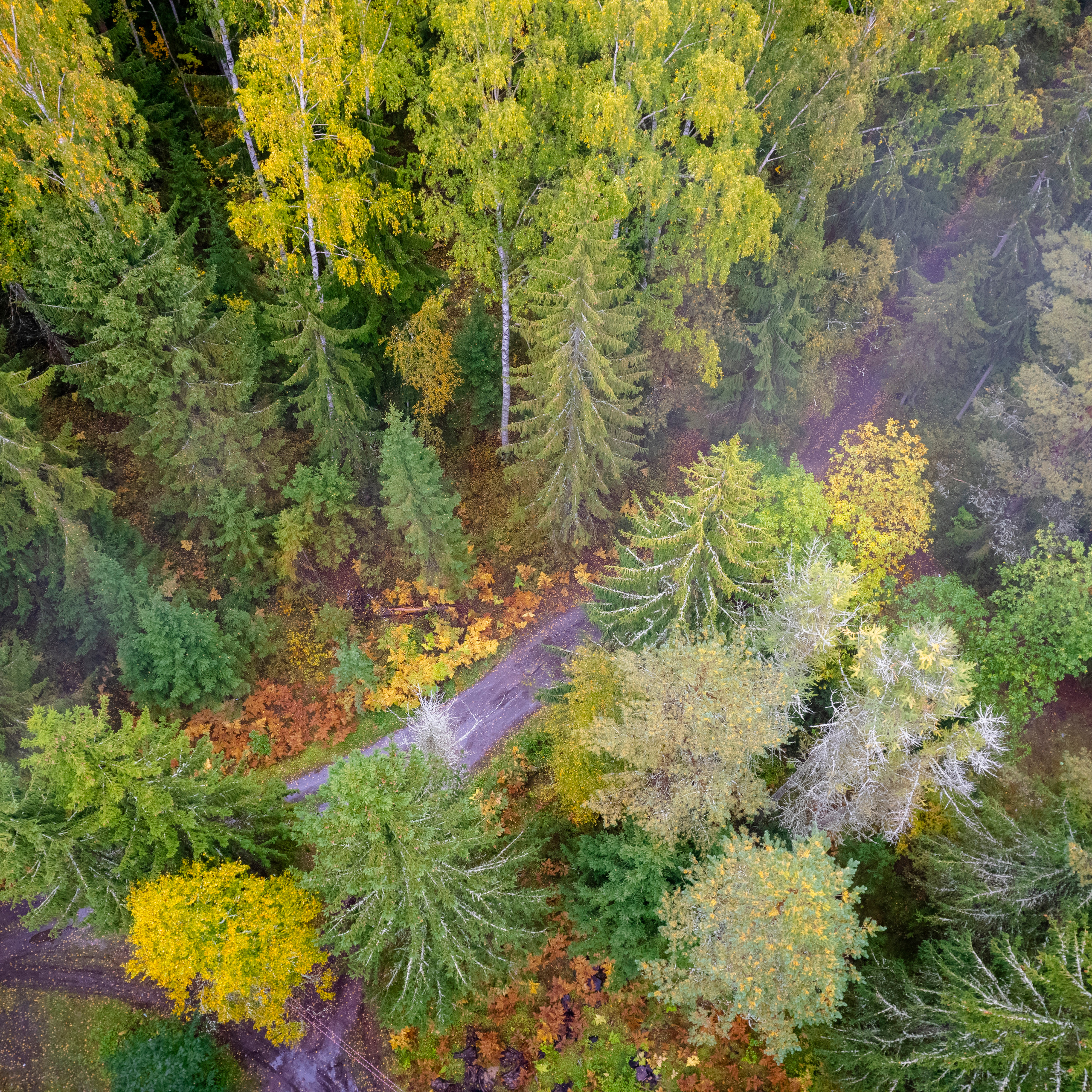 Чемпионат РКФ FCISDR 24-25.09.22. ФОТОГРАФ-АНИМАЛИСТ l LANA POLYAKOVA