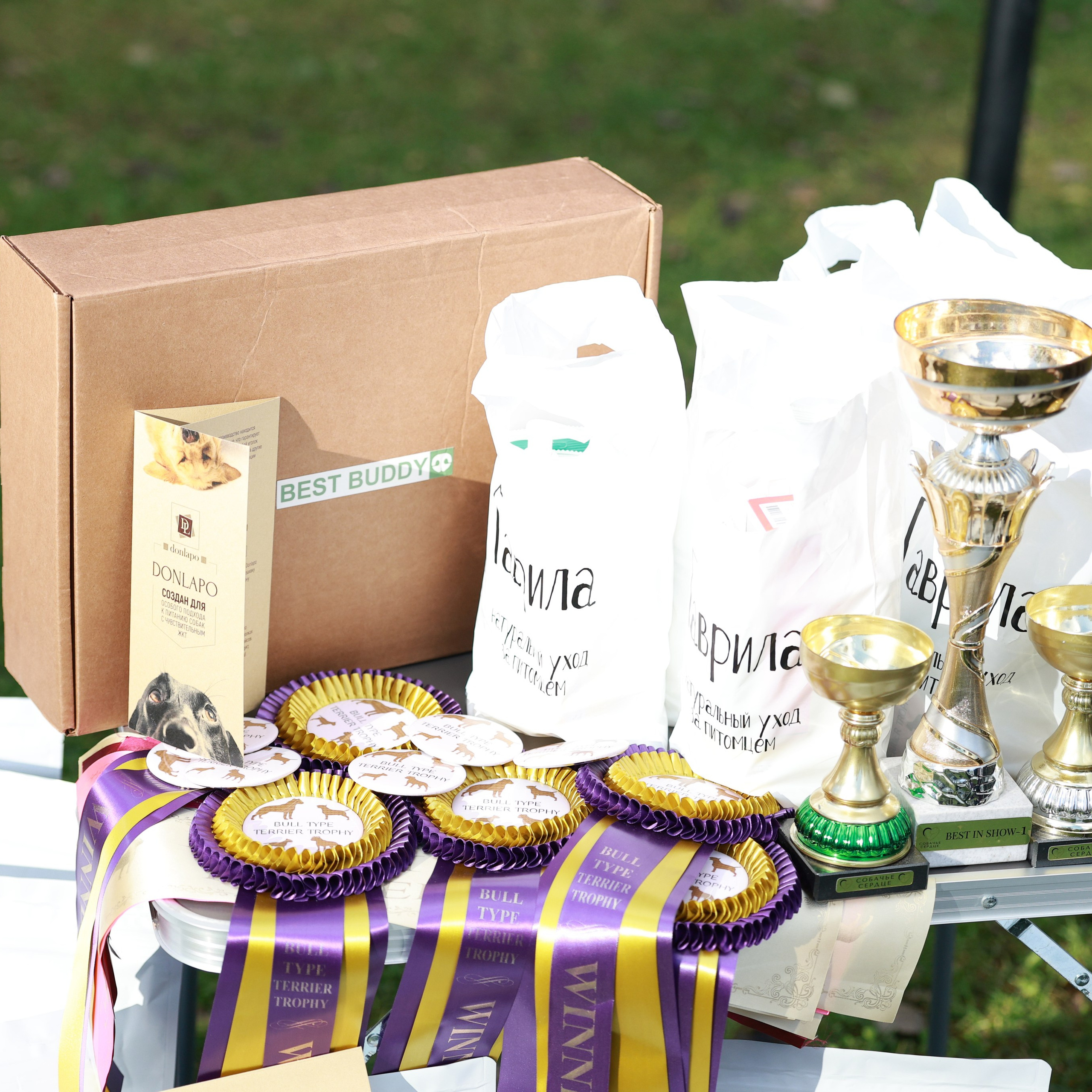 27-28.09.2025 ВЫСТАВКИ СОБАК ВСЕХ ПОРОД (САС, ЧРКФ, ЧФ). ФОТОГРАФ-АНИМАЛИСТ l LANA POLYAKOVA