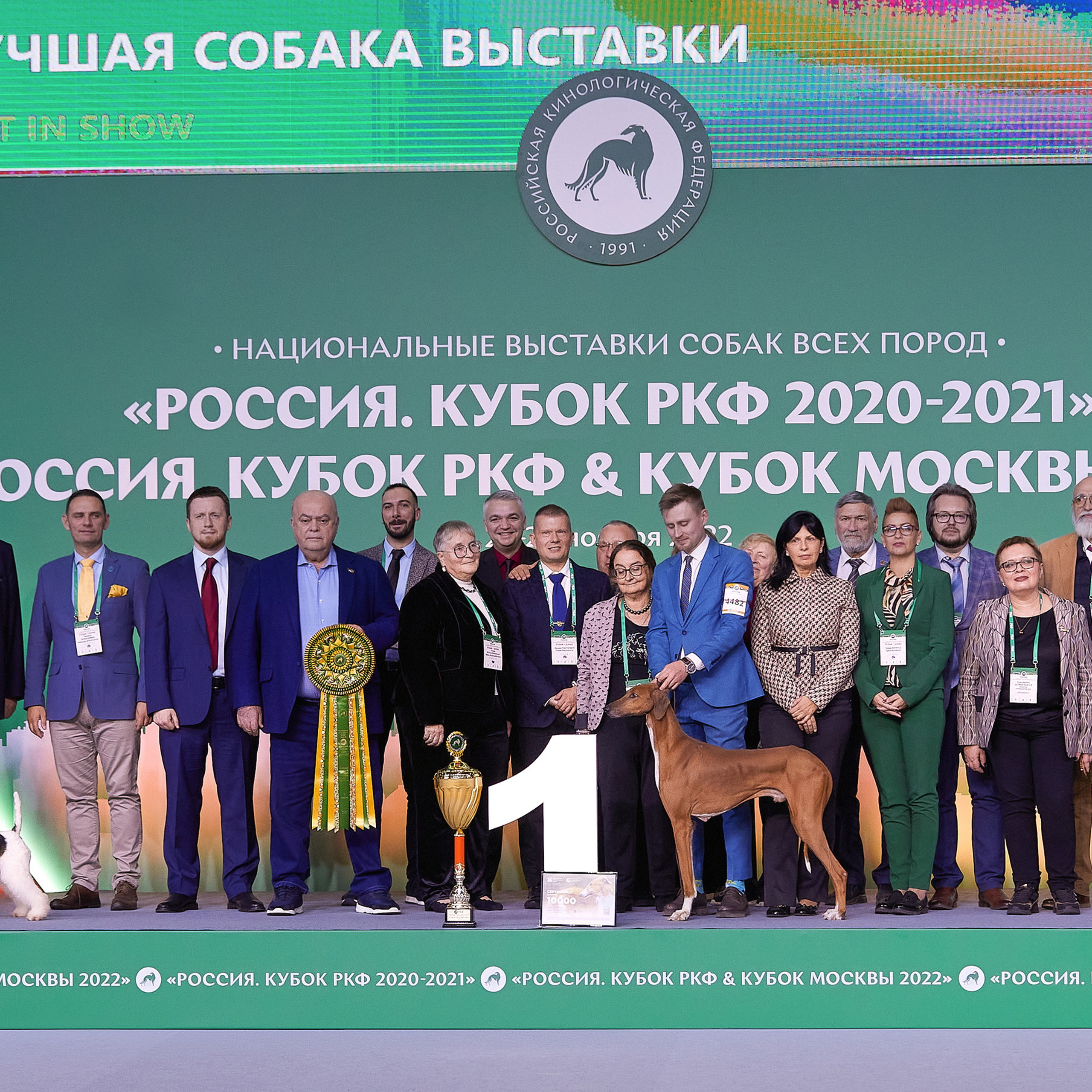 «Россия» в Крокусе. ФОТОГРАФ-АНИМАЛИСТ l LANA POLYAKOVA