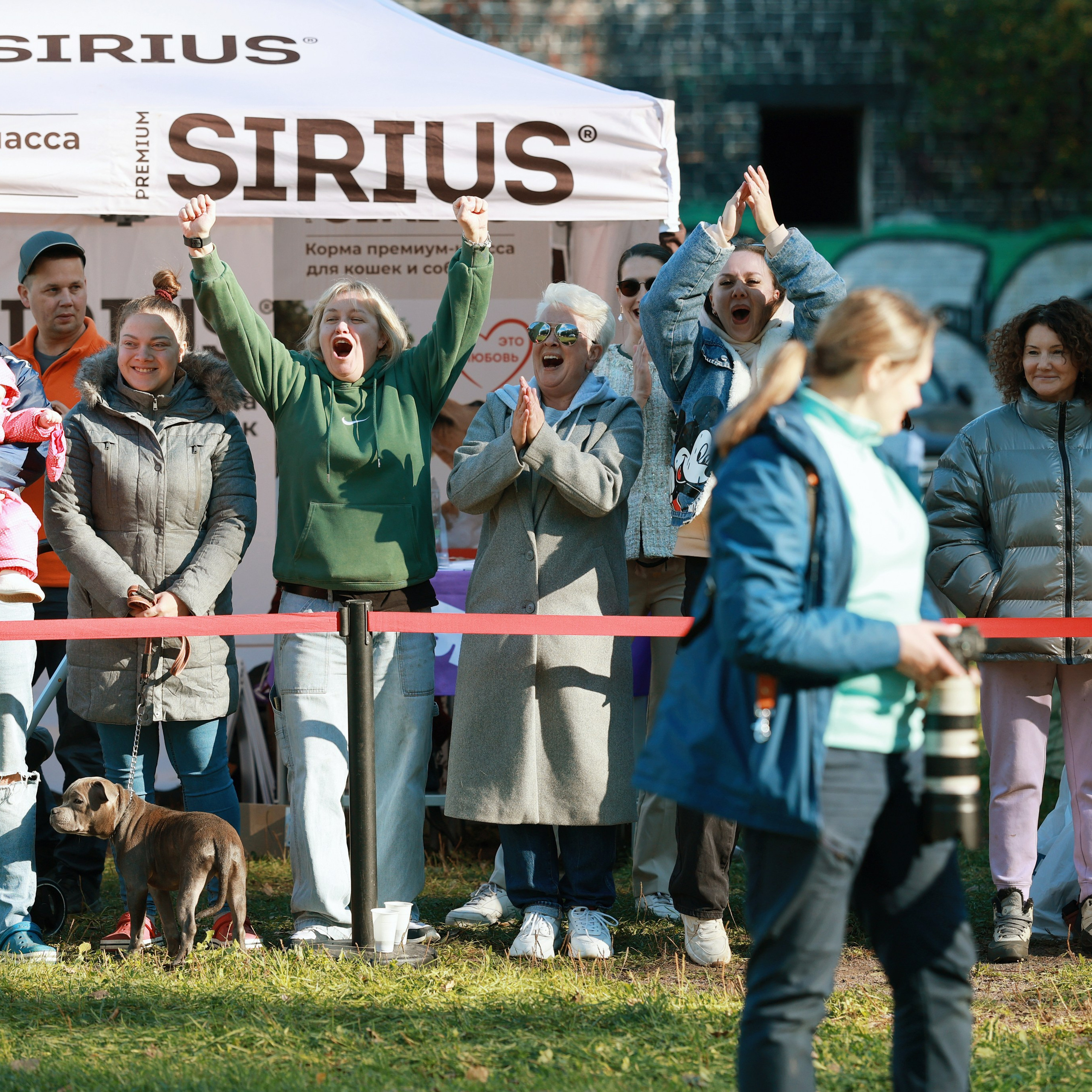 27-28.09.2025 ВЫСТАВКИ СОБАК ВСЕХ ПОРОД (САС, ЧРКФ, ЧФ). ФОТОГРАФ-АНИМАЛИСТ l LANA POLYAKOVA