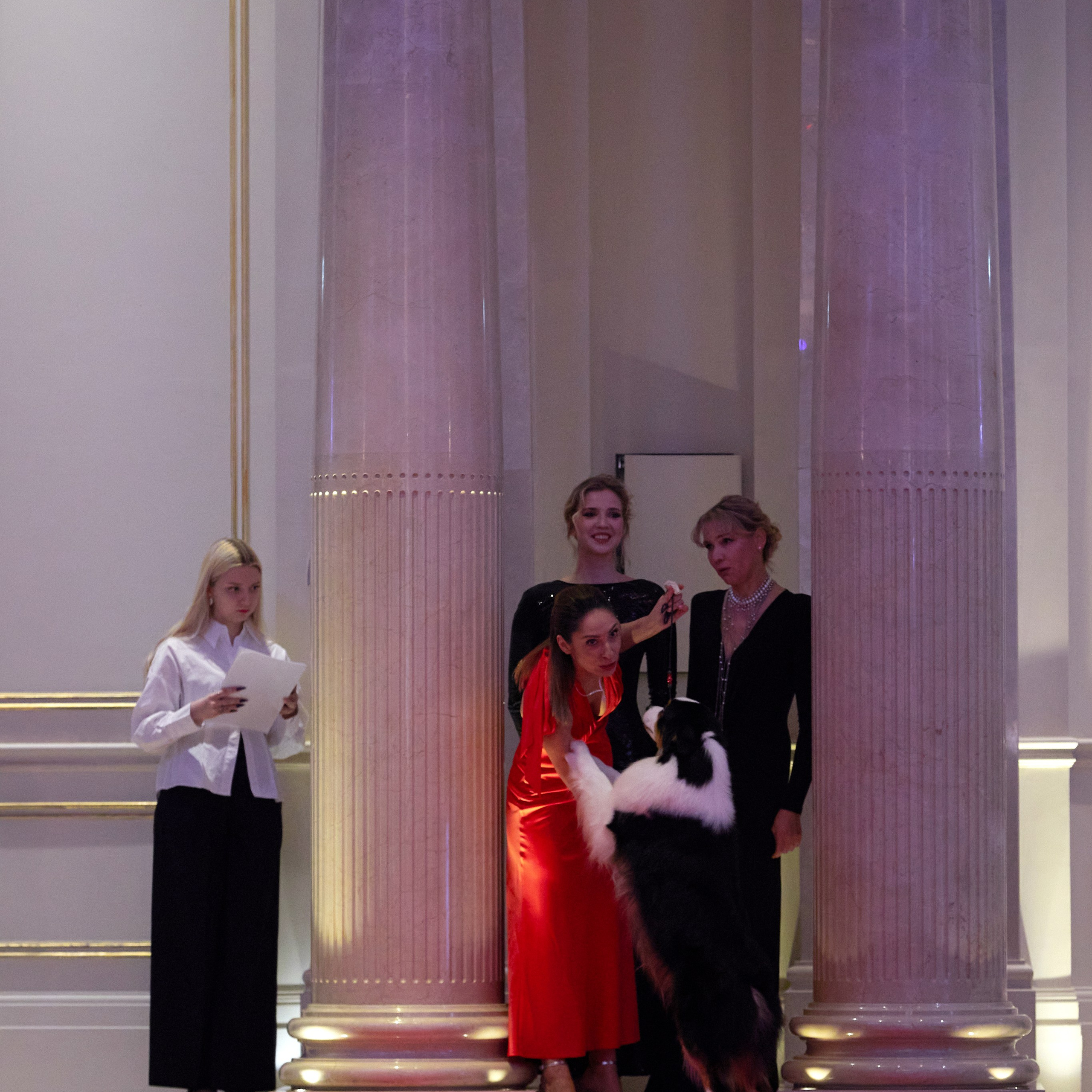 Репортаж с церемонии «BEST RUSSIAN DOG 2024». ФОТОГРАФ-АНИМАЛИСТ l LANA POLYAKOVA