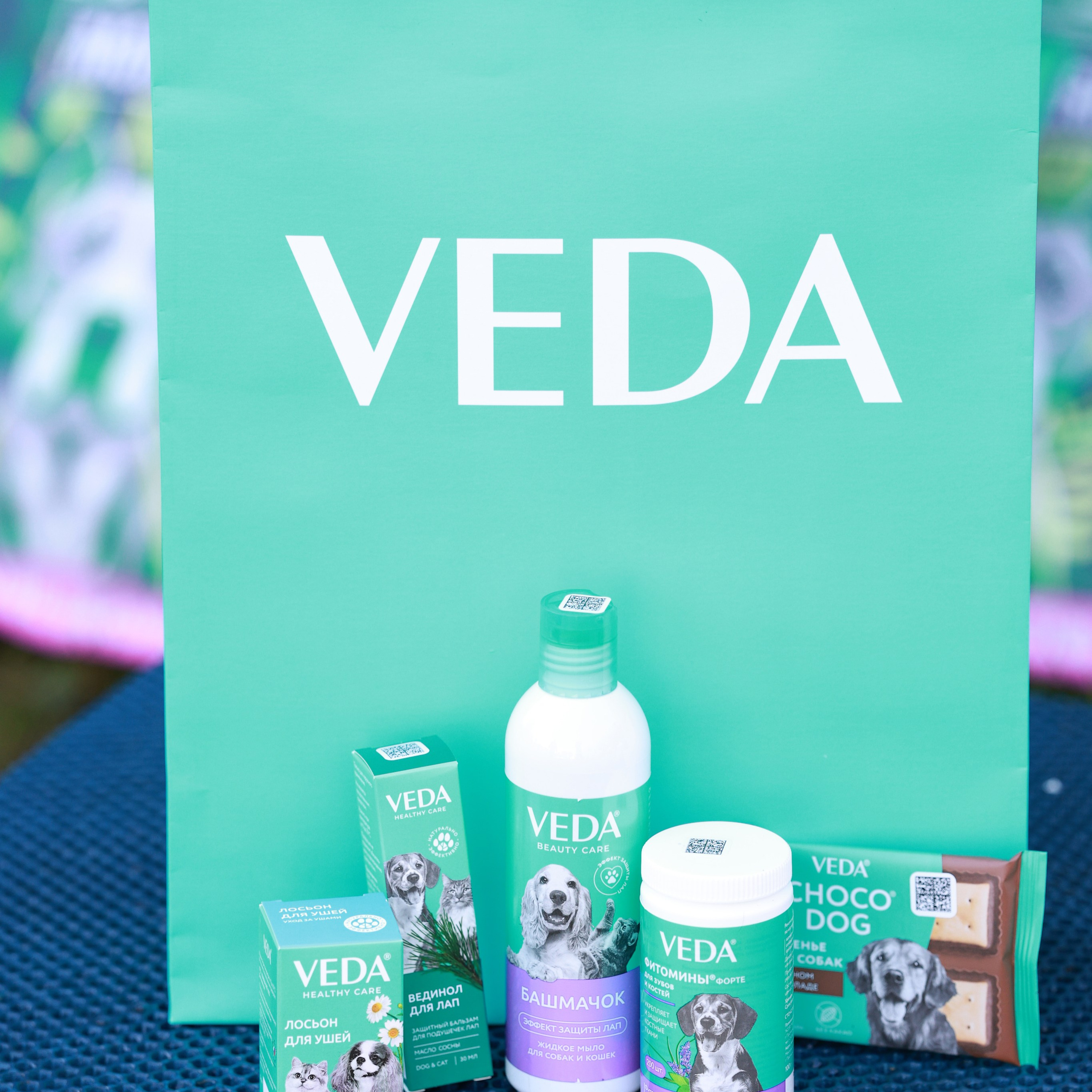 27-28.09.2025 ВЫСТАВКИ СОБАК ВСЕХ ПОРОД (САС, ЧРКФ, ЧФ). ФОТОГРАФ-АНИМАЛИСТ l LANA POLYAKOVA