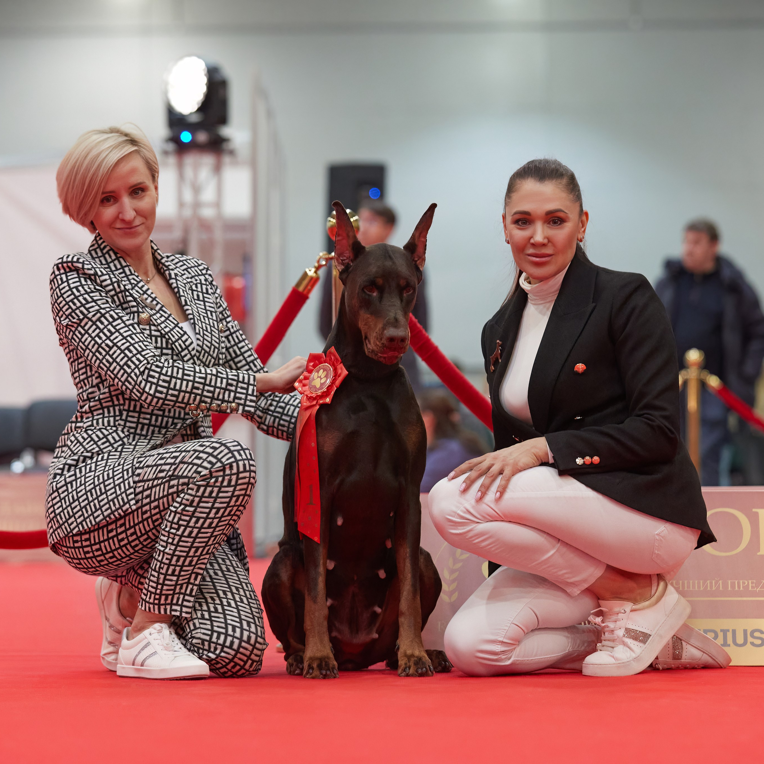 Новое шоу чемпионов «ЛУЧШИЕ СОБАКИ РОССИИ». ФОТОГРАФ-АНИМАЛИСТ l LANA POLYAKOVA