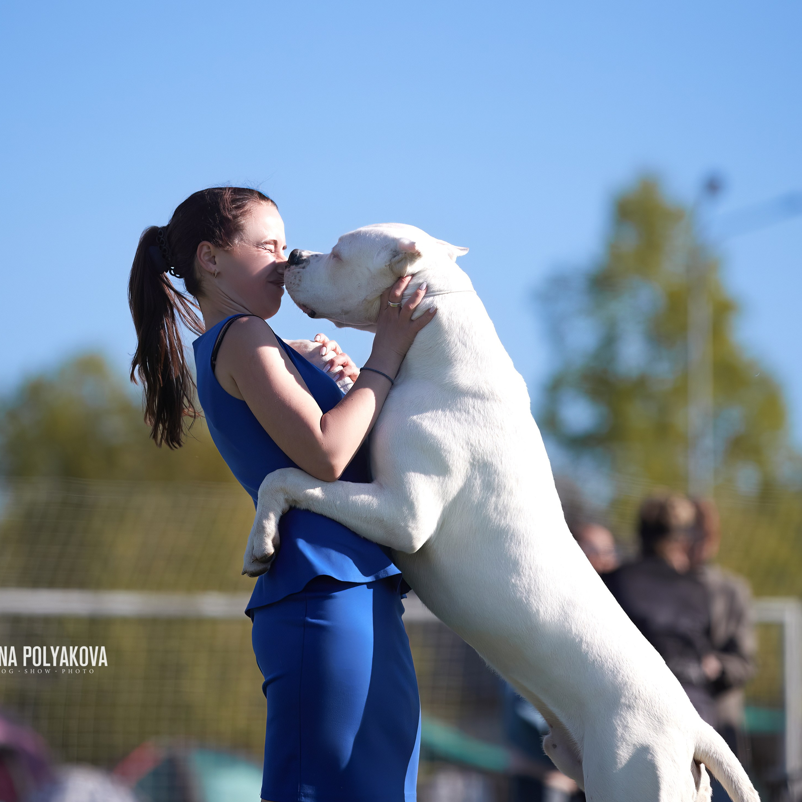 Отгремела «Суздаль-2024». ФОТОГРАФ-АНИМАЛИСТ l LANA POLYAKOVA