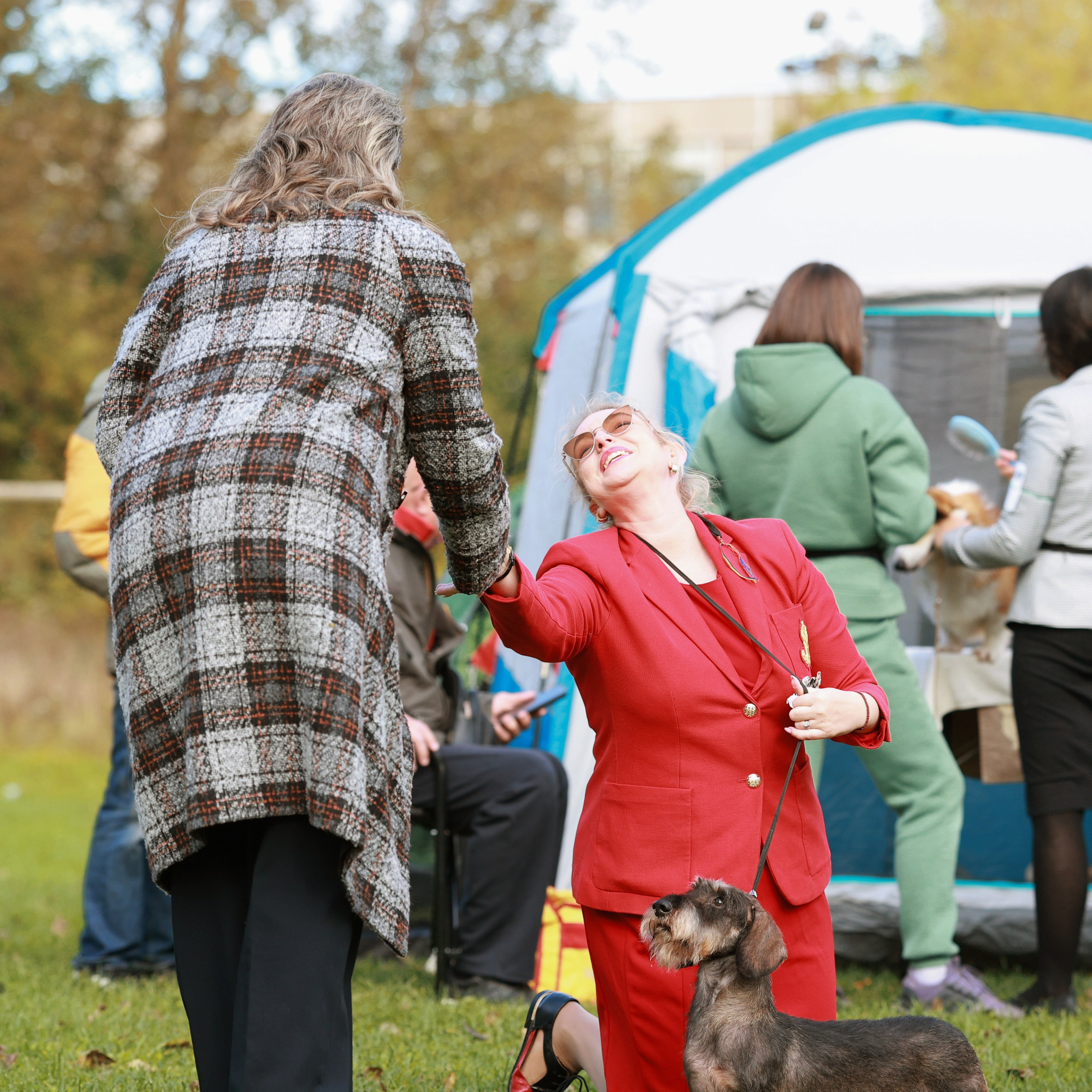 27-28.09.2025 ВЫСТАВКИ СОБАК ВСЕХ ПОРОД (САС, ЧРКФ, ЧФ). ФОТОГРАФ-АНИМАЛИСТ l LANA POLYAKOVA
