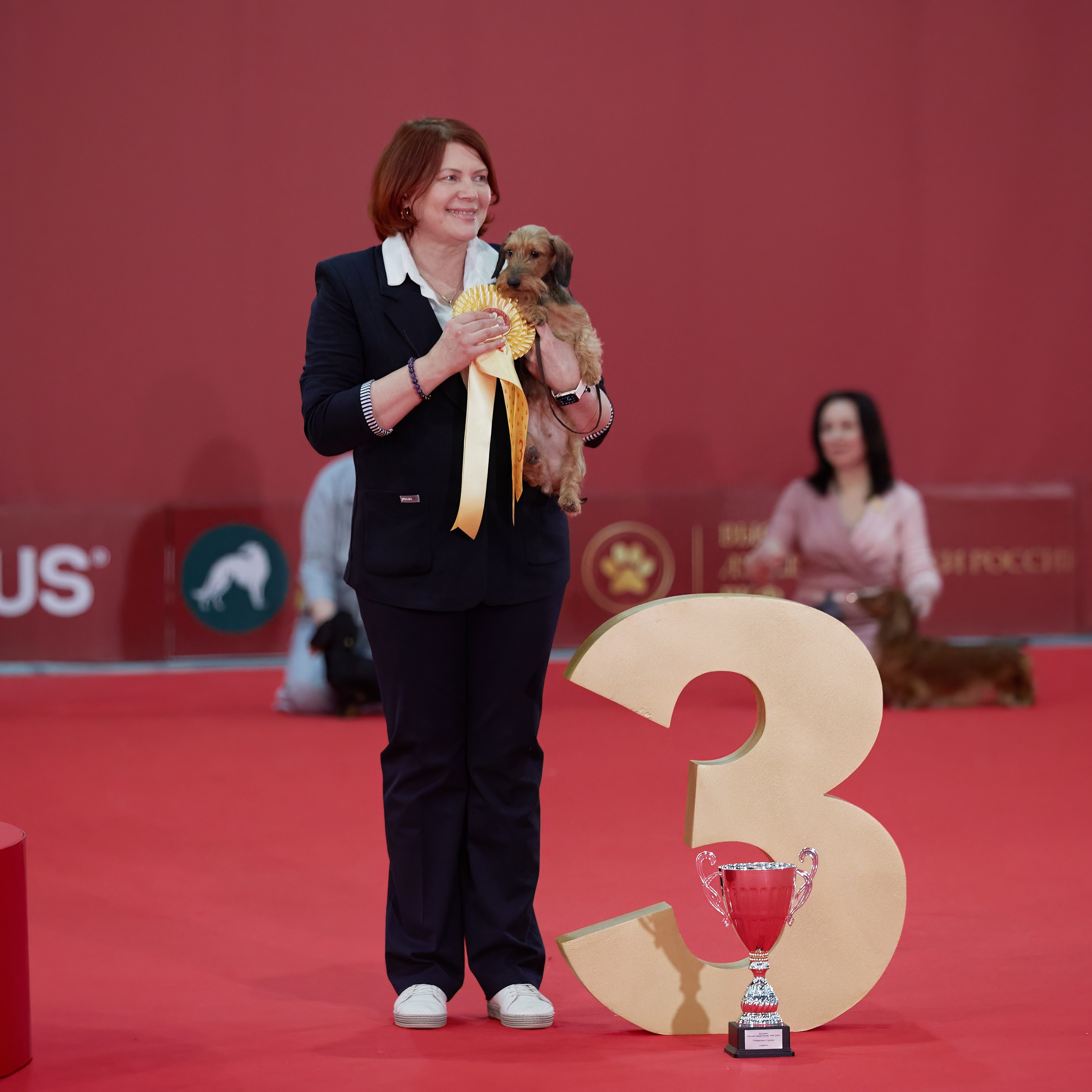 Новое шоу чемпионов «ЛУЧШИЕ СОБАКИ РОССИИ». ФОТОГРАФ-АНИМАЛИСТ l LANA POLYAKOVA