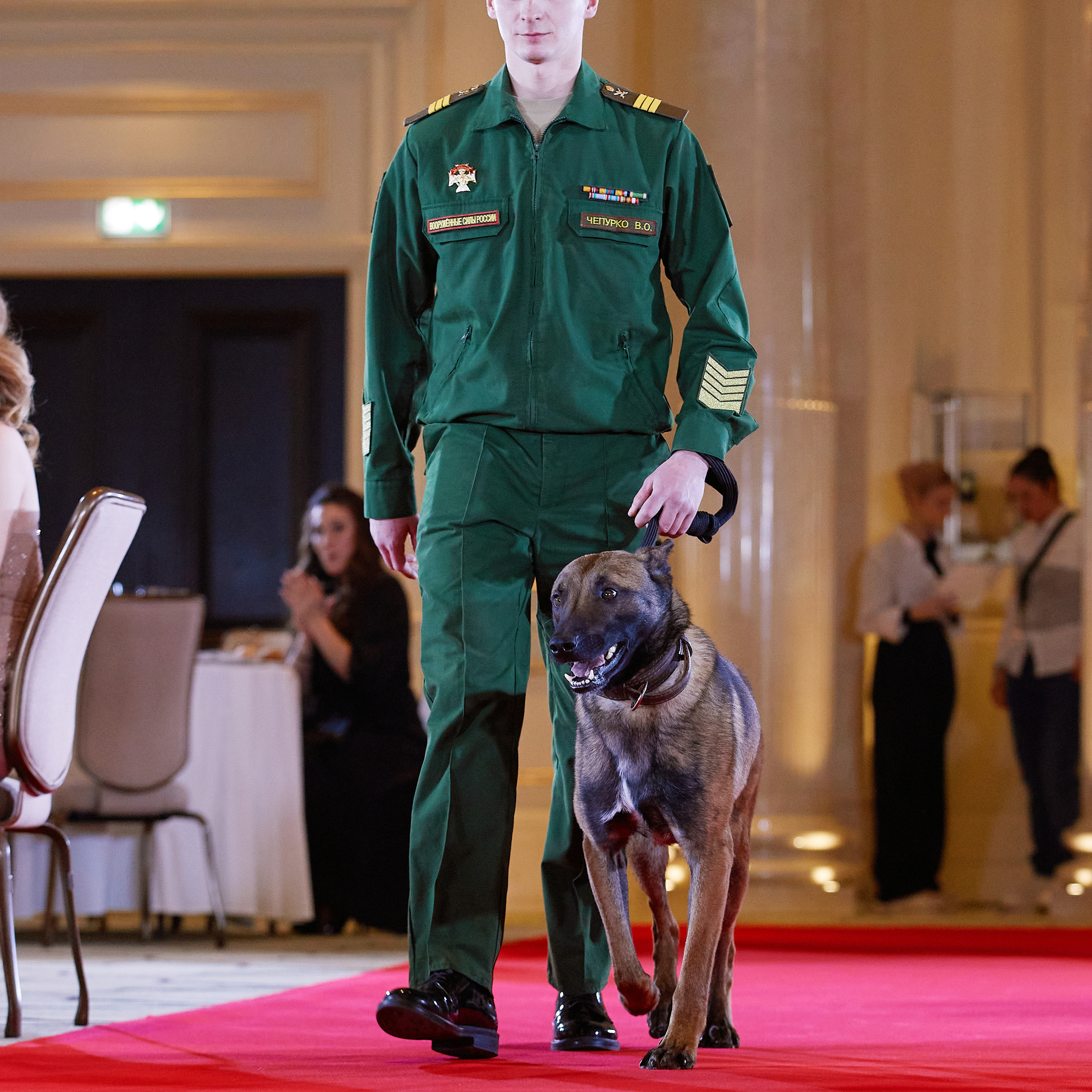 Репортаж с церемонии «BEST RUSSIAN DOG 2021». ФОТОГРАФ-АНИМАЛИСТ l LANA POLYAKOVA